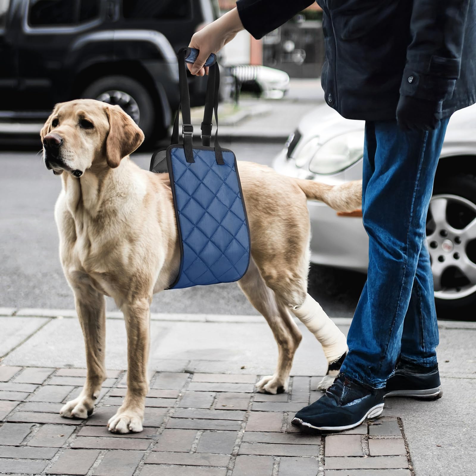 Adjustable Dog Sling Dog Lift Harness For X-Large Dogs, Hind Leg Support Portable Soft Lift Support And Rehab Harness For Weak R