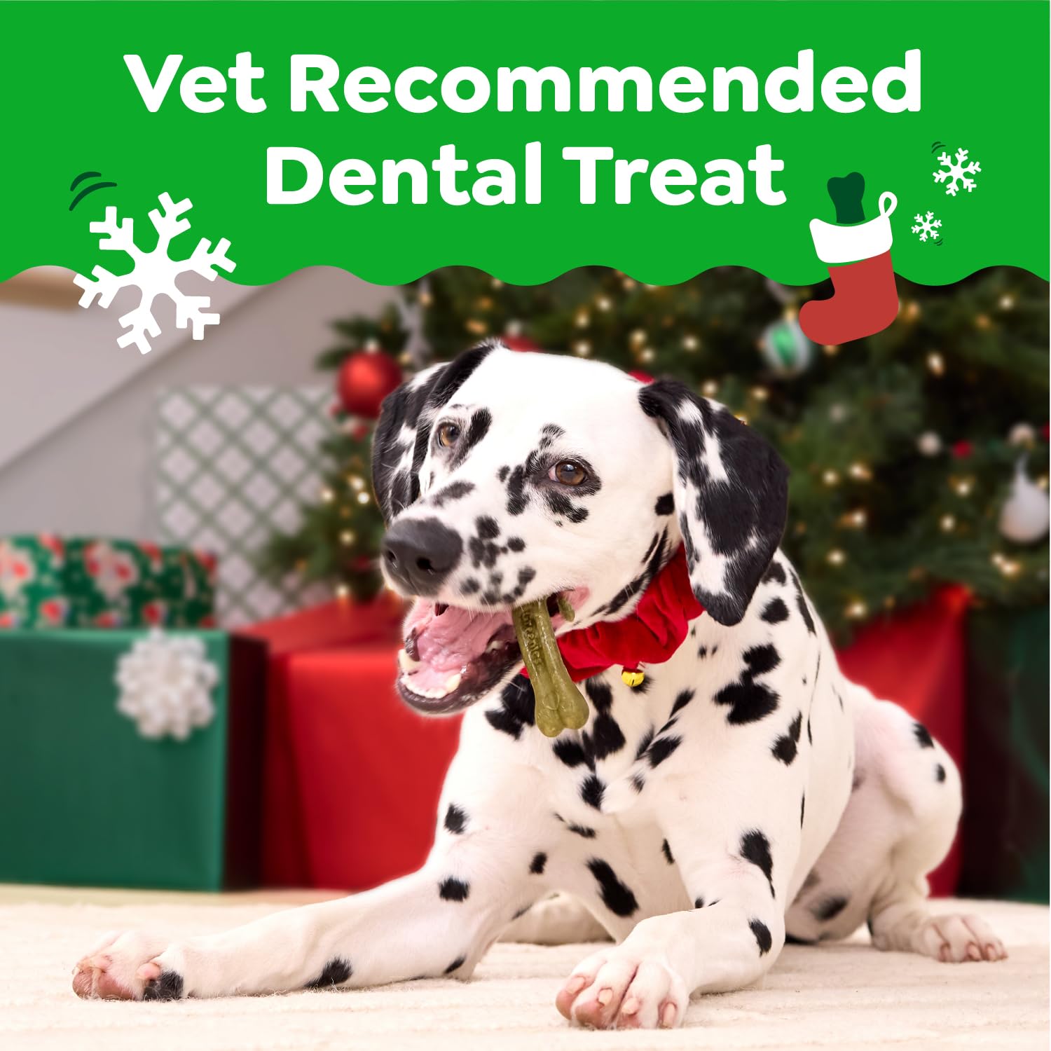 Greenies Large Dental Dog Treats, Gingerbread Flavor, Limited Edition, 12 oz. Pack (8 Treats)