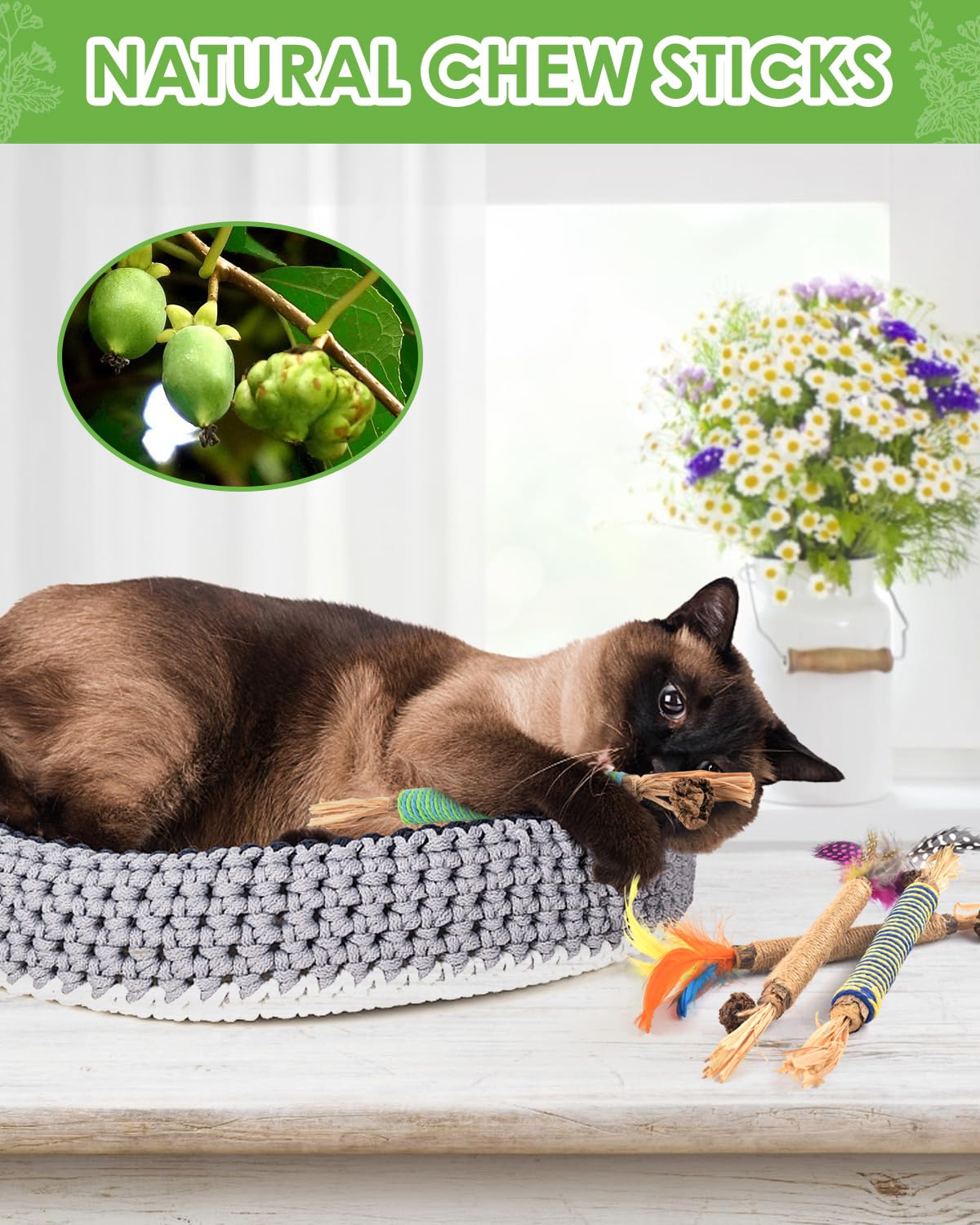 Tindtop Catnip Chew Toys For Cats, 4 Pack Natural Silvervine Sticks For Kittens Teeth Cleaning, Matatabi Dental Care, Increase A