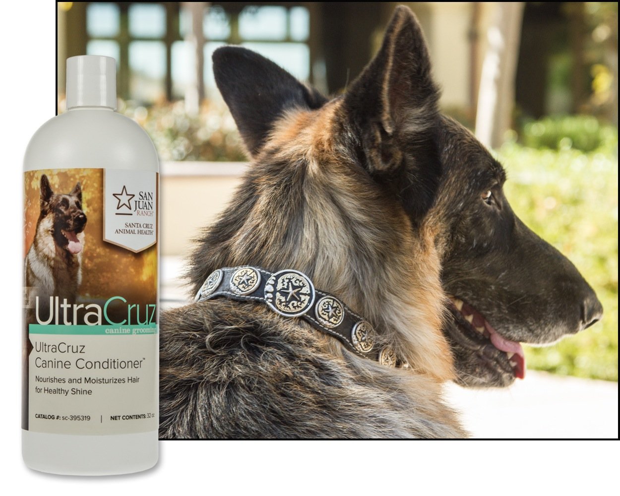 Ultracruz - Sc-395319 Canine Conditioner For Dogs, 32 Oz