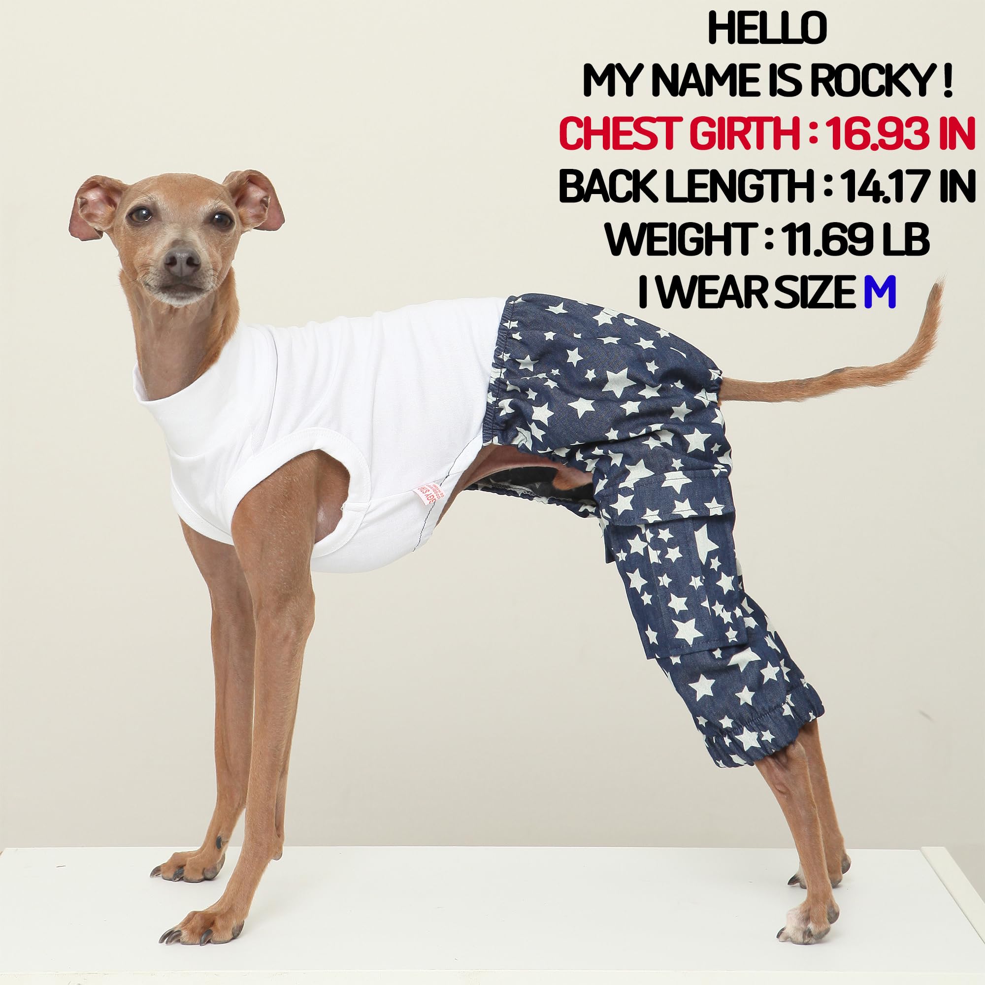 D Doggy Star Italian Greyhound Clothes Cargo Pants Onesie Outfit Whippet For Dog Coat (Xl,Dnm Star Cargo)