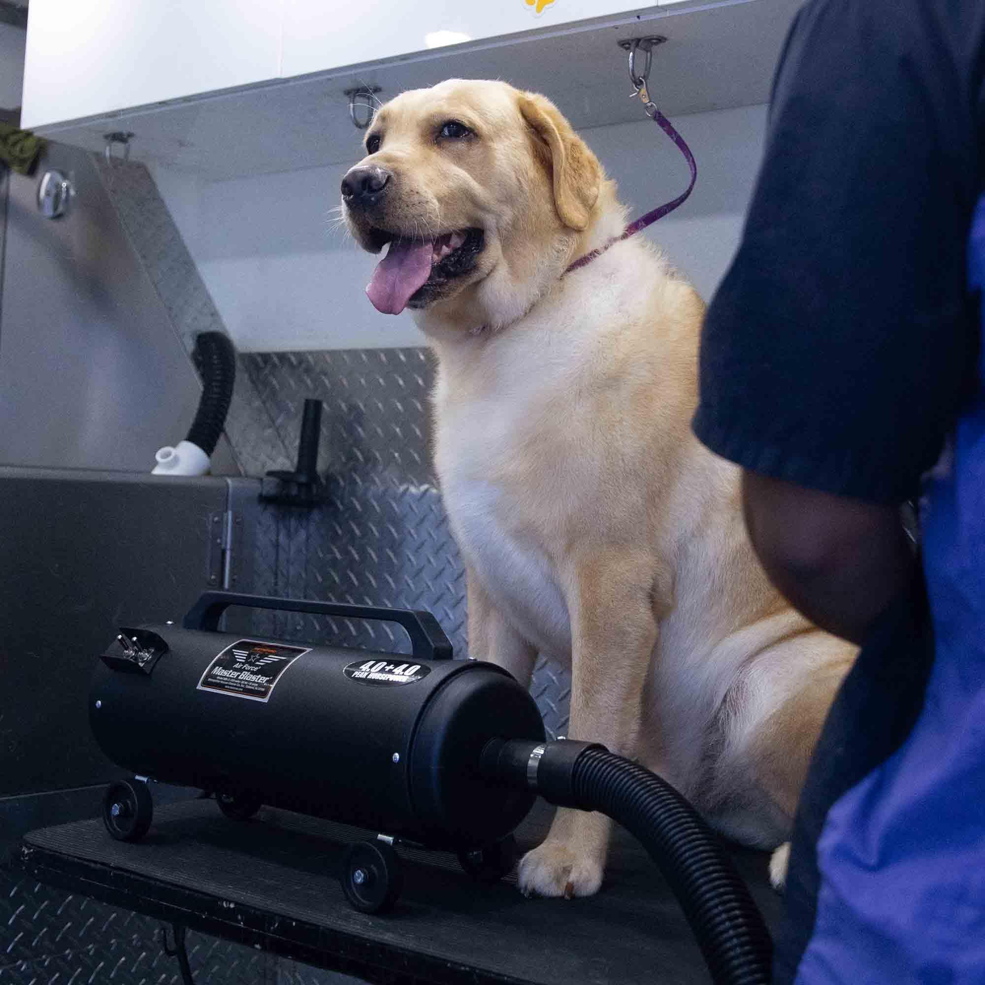 Metrovac Mb-3 Air Force Blaster Pet Dryer, Professional Blower, Efficient Cleaner, 4.0 Peak Hp Twin Fan Motors 120V, 10 Ft Comme