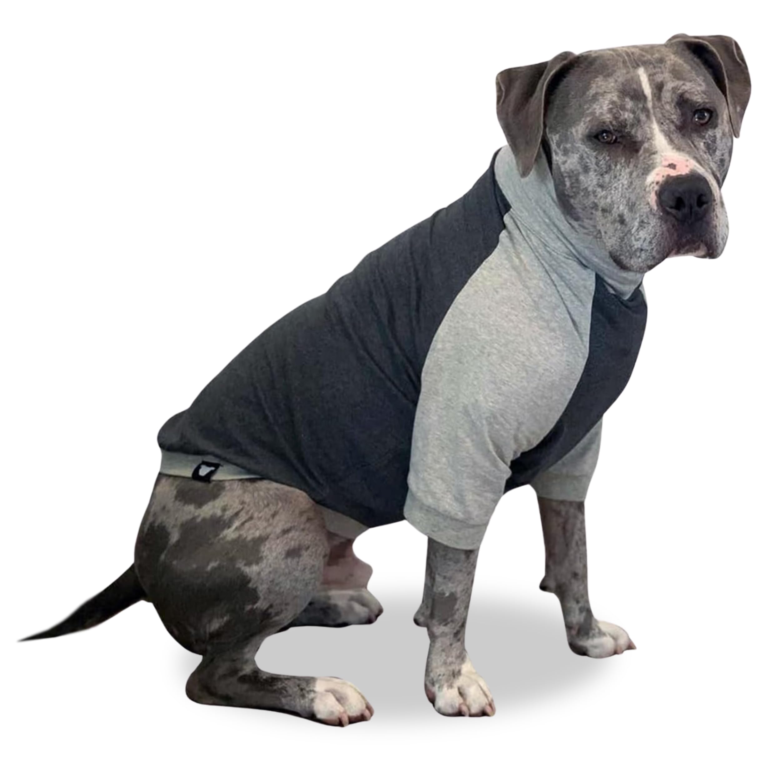 Tooth & Honey Large Dog Pullover Shirt – Breathable Cotton & Spandex Dog Shirt With Full Underbelly Coverage – Dark & Light Grey Large Dog Shirt For Allergy & Summer Protection (Large)