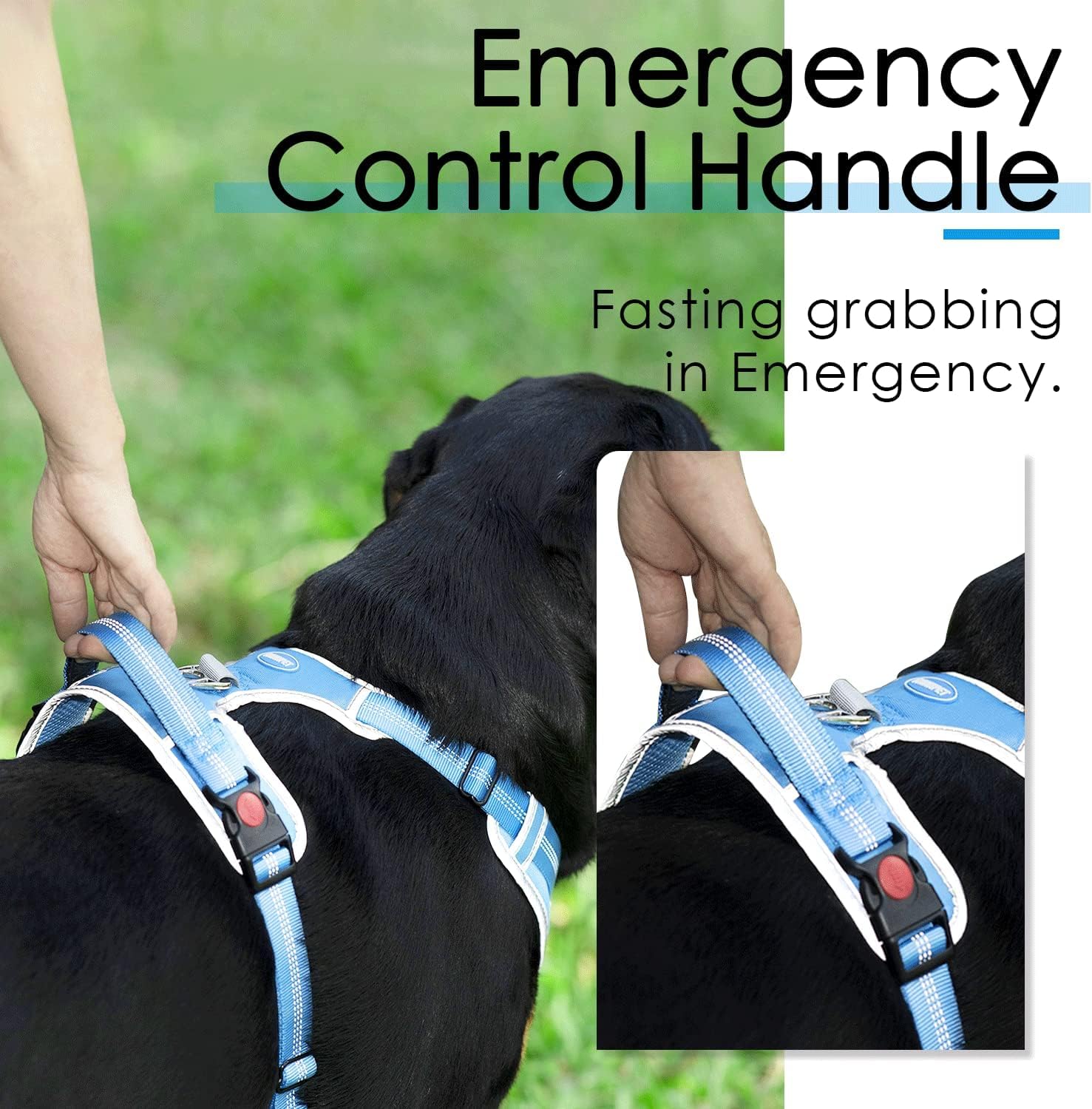 Thinkpet No Pull Harness Breathable Sport Harness With Handle-Dog Harnesses Reflective Adjustable For Medium Large Dogs,Back/Front Clip For Easy Control S Sky Blue