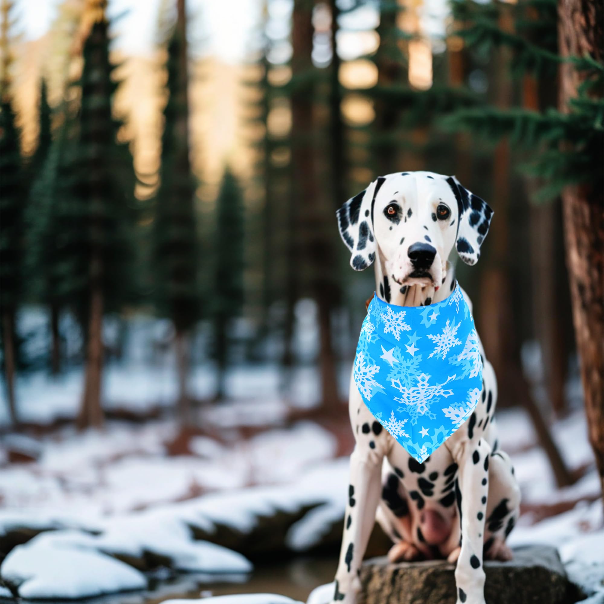 Pai Sence 30 Pack Winter Dog Bandanas Bulk for Large Dogs Breed 33 Inch XL Dog Bandanas Adjustable Snow Scarves Grooming L
