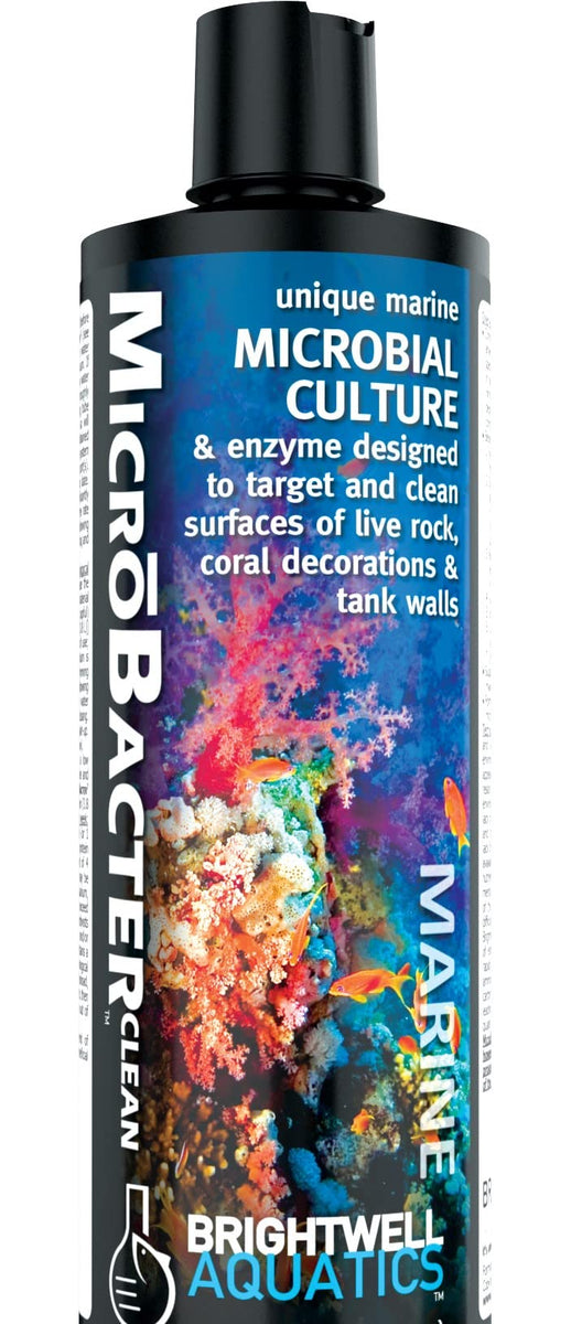 Brightwell Aquatics MicroBacter Clean Aquarium Treatment 250-ml – Petocart