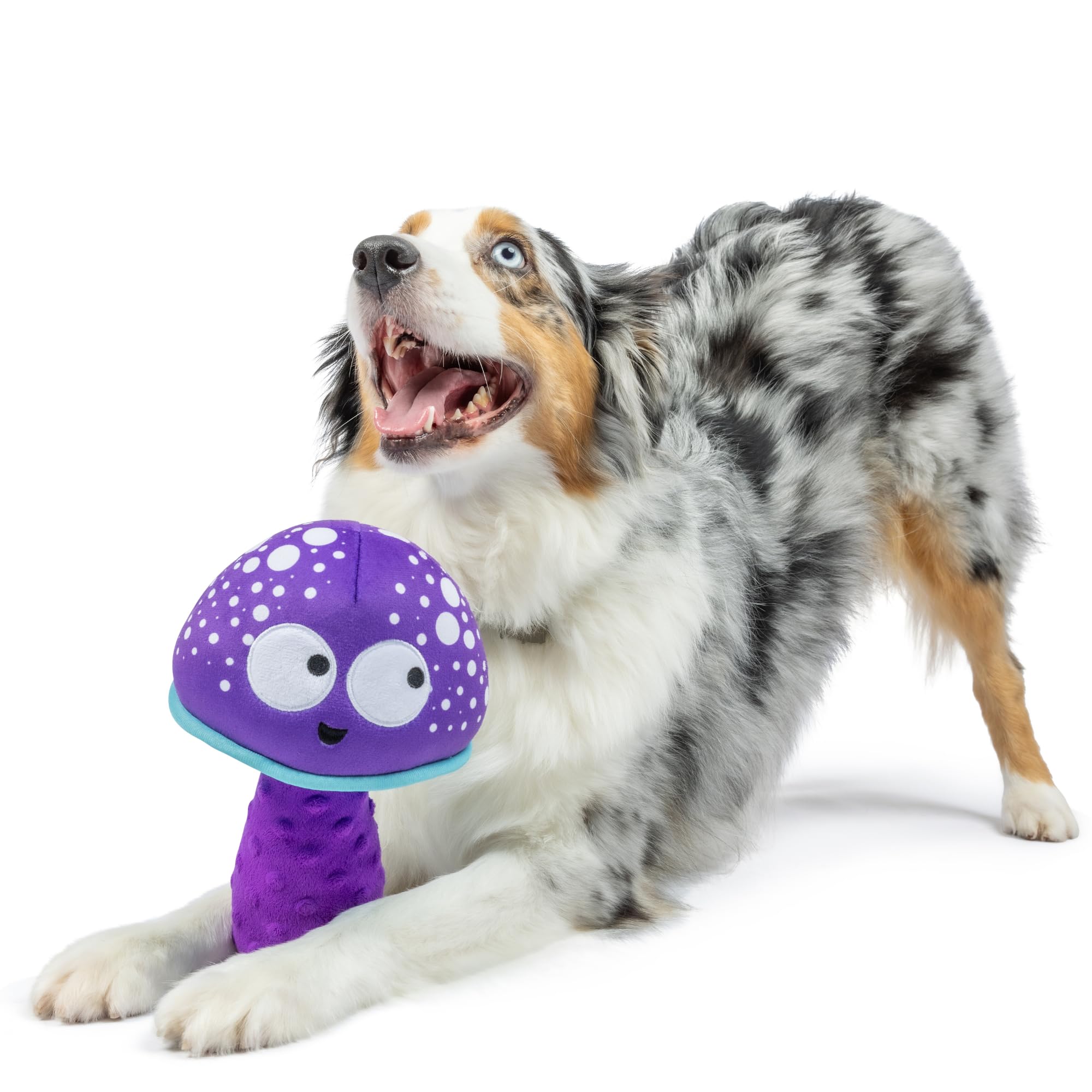 Huxley & Kent For Dogs | Mellow Mushroom (Large) | Funny Dog Toy | Power Plush Dog Toy With Squeaker | Dog Gift | Fun, Durable |