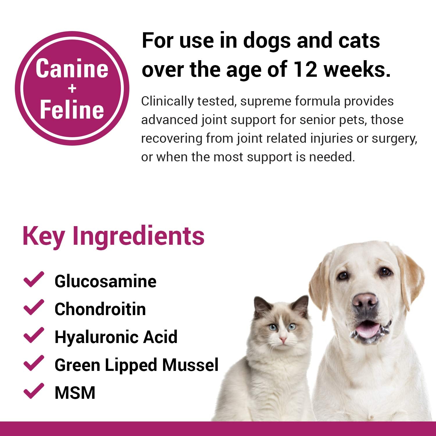 Vet Classics ArthriEase-Gold Hip & Joint Support for Dogs, Cats, Horses - Chewable Tablet Health Supplement - Alleviate Aches, D