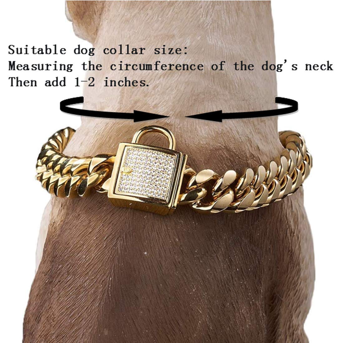 Aiyidi Gold Dog Chain Collar Stainless Steel With Zirconia Lock Luxury Dog Necklace 14Mm Heavy Duty Cuban Chain Collar For Small