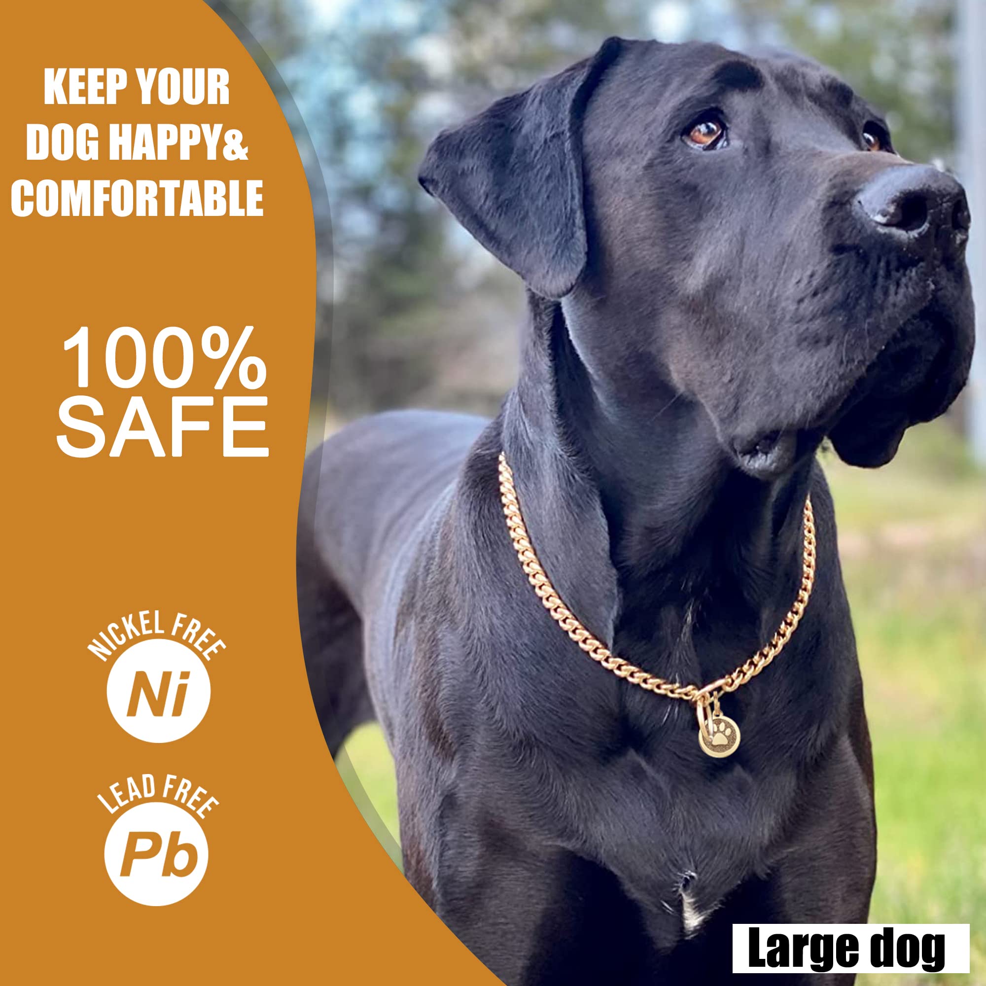 Luxlife Gold Chain Dog Collar Stainless Steel Cuban Link Dog Collar 10Mm Gold Dog Collar Metal Slip Collar For Puppy Small Mediu