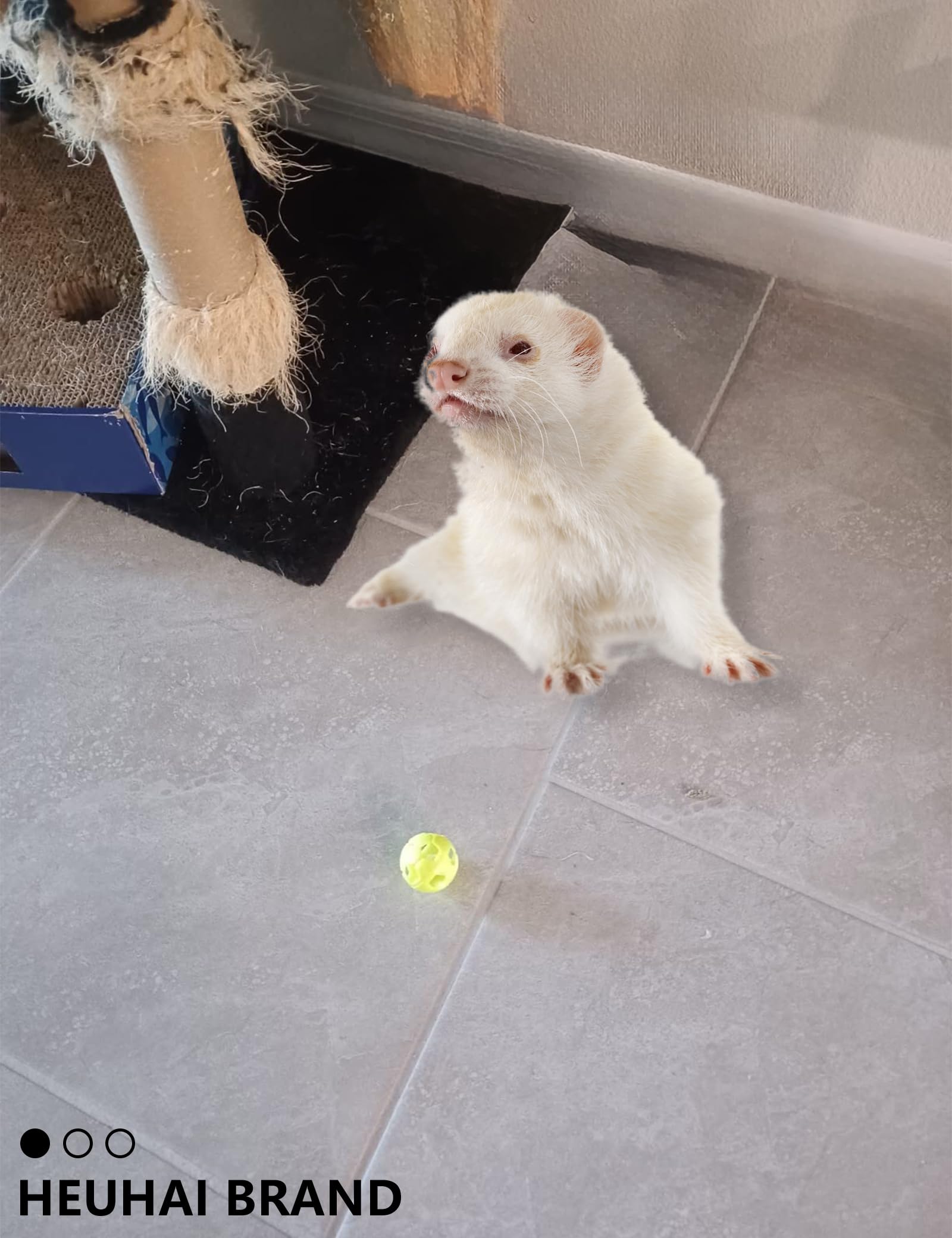 Ferret Toys 10-Pack Bell Balls, Sturdy & Attractive, Interactive Crinkle Sounds, Easy Clean, Safe Pp, Teeth Health, Indoor/Outdo