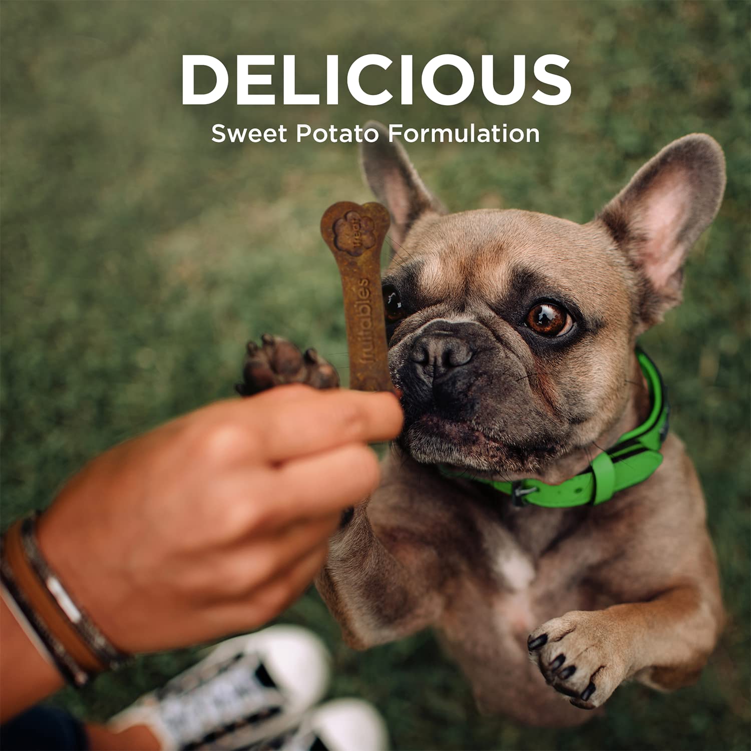 Fruitables Bioactive Fresh Mouth Dental Chews - Mini Size Dog Treats - Dental Treats for Dogs - Dog Dental Chews - 7.3 Ounces