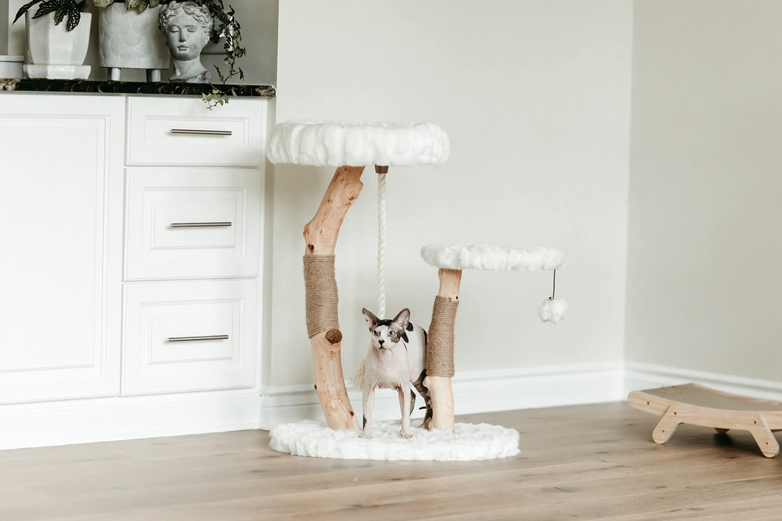Mau Modern Cat Tree Tower, Natural Branch Cat Condo, Luxury Wood Cat Tower, Cat Scratching Tree, Cat Condo, Cat Lover Gift, Luxury Cat, Cat Gifts By Mau Lifestyle