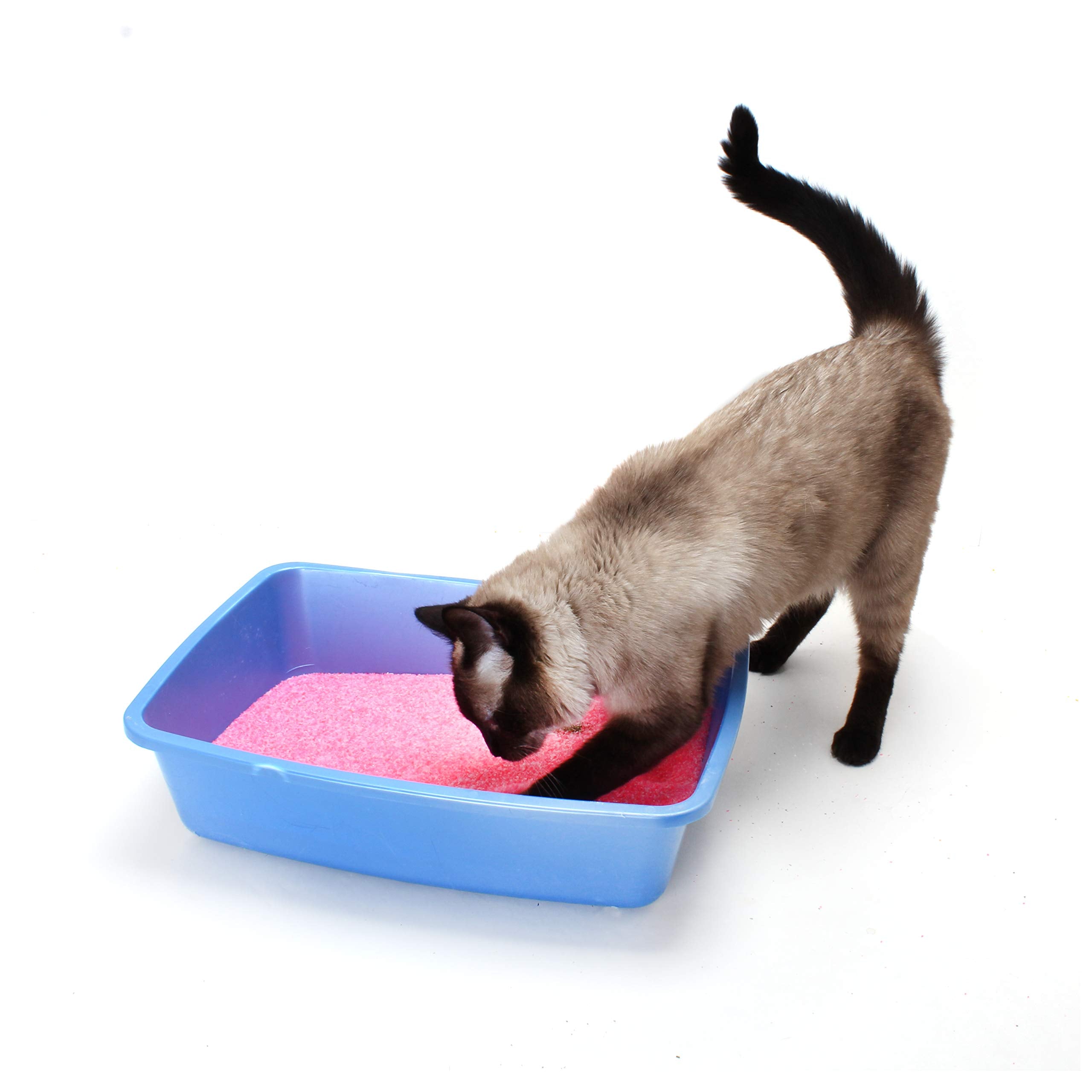 NEON Clumping Silica Gel Crystal Cat Litter, Pink