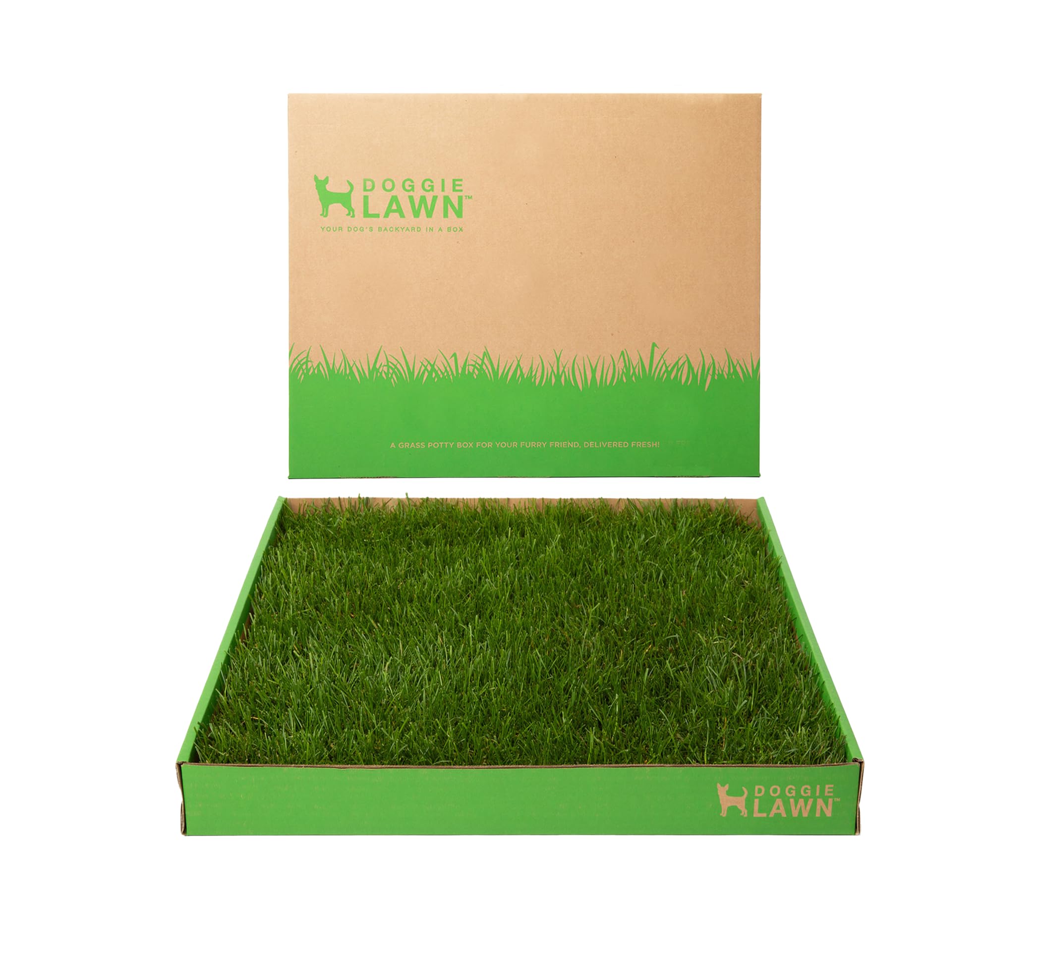 Doggielawn Real Grass Puppy Pee Pads- 24 X 20 Inches - Perfect Indoor Litter Box For Dogs - No Mess, Easy-To-Use - Potty Training For Pets - Eco-Friendly Disposable Bathroom With Real Living Grass