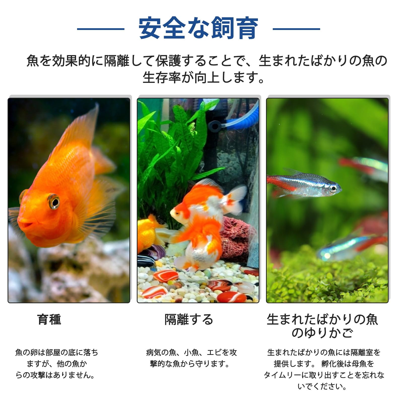 ATPWONZ Fish Breeding Box, Acrylic Fish Isolation Box Aquarium Hatchery Incubator with Suction Cups for Newborn Fry Shrimp Guppy