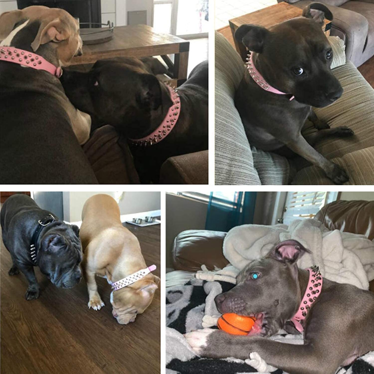 Teemerryca Adjustable Leather Spiked Studded Dog Collars With A Squeak Ball Gift For Small Medium Large Pets Like Cats/Pit Bull/