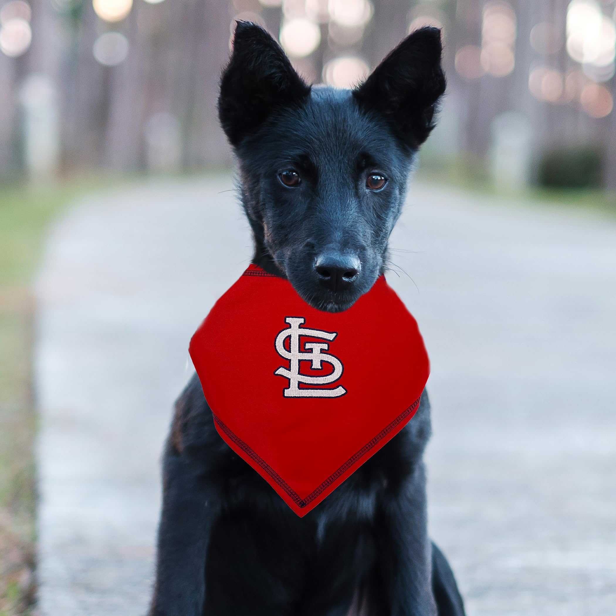 Pets First Mlb St. Louis Cardinals Tie Bandana, Large/X-Large. Dog Bandana Scarf Bib For Pet Cat Dog. The Ultimate Game-Day, Par