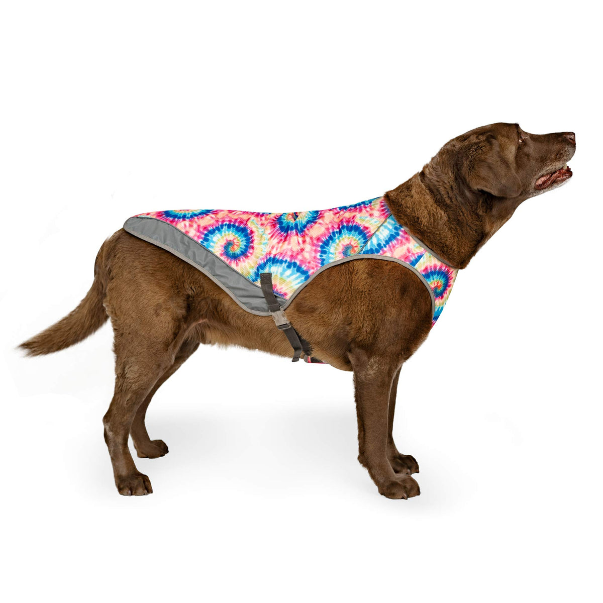 Canada Pooch Dog Cooling Vest - Evaporative Cooling Vest For Dogs With Breathable Mesh Material & Reflective Lining, Adjustable Dog Cooling Vest Great For Dogs 16 (15-17' Back Length), Tie Dye