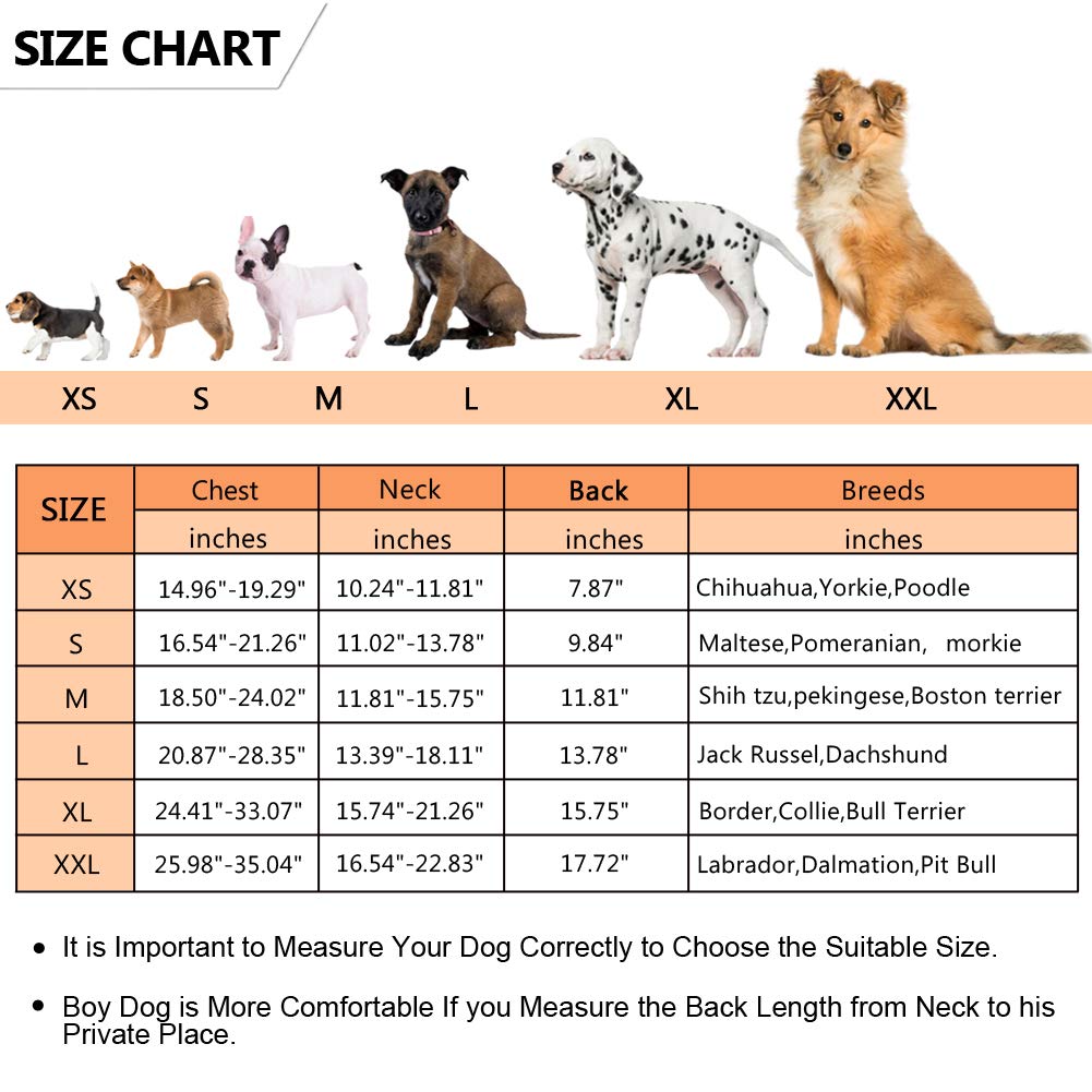 Queenmore Ripstop Dog Life Jacket Shark Life Vest For Dogs, Safety Lifesaver With High Buoyancy And Lift Handle For Small And Medium Breeds(Orange S)