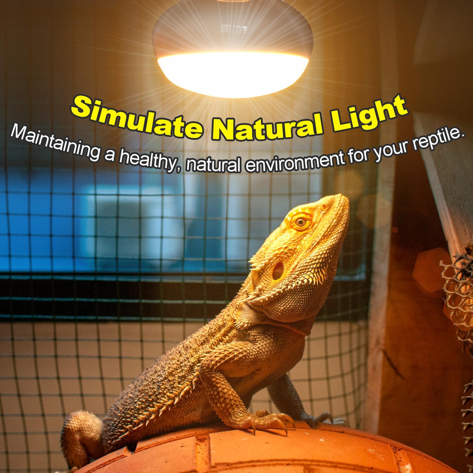 MIXJOY 100W Reptile Heat Lamp Bulb - 2 Pack UVA Basking Spot Light for Bearded Dragons, Lizards, Tortoises - Silver, Model LR80100W