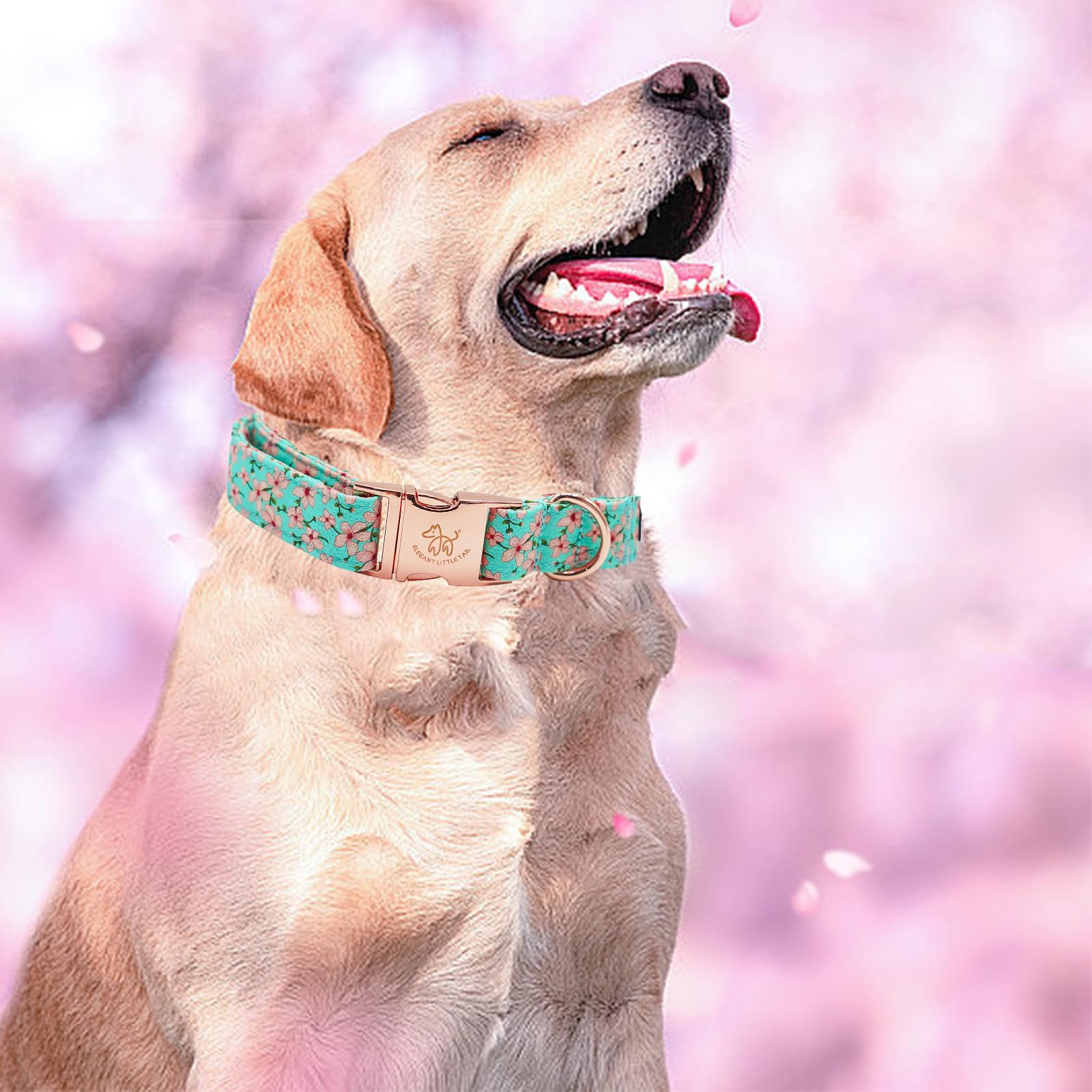 Elegant Little Tail Pink Floral Print Summer Dog Collar - Cotton, Durable, Metal Buckle For Small Dogs