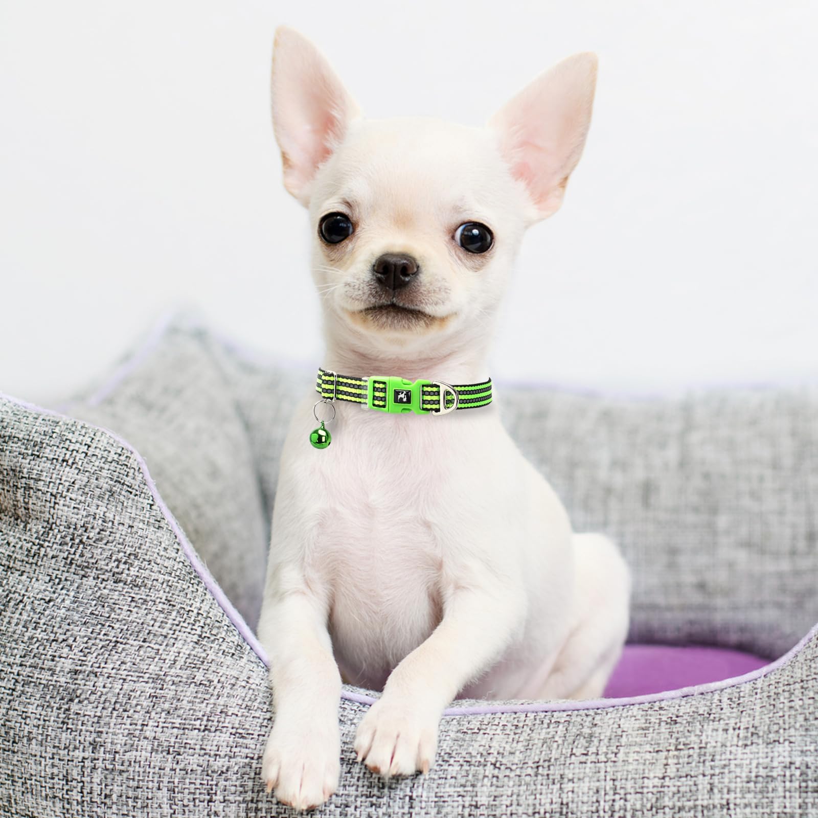 Onefojojo Xxs-Xs Dog Collar With Bell Reflective - Adjustable Tiny Small Breed Collar For Girl Boy Chihuahua Puppies, Night Walk