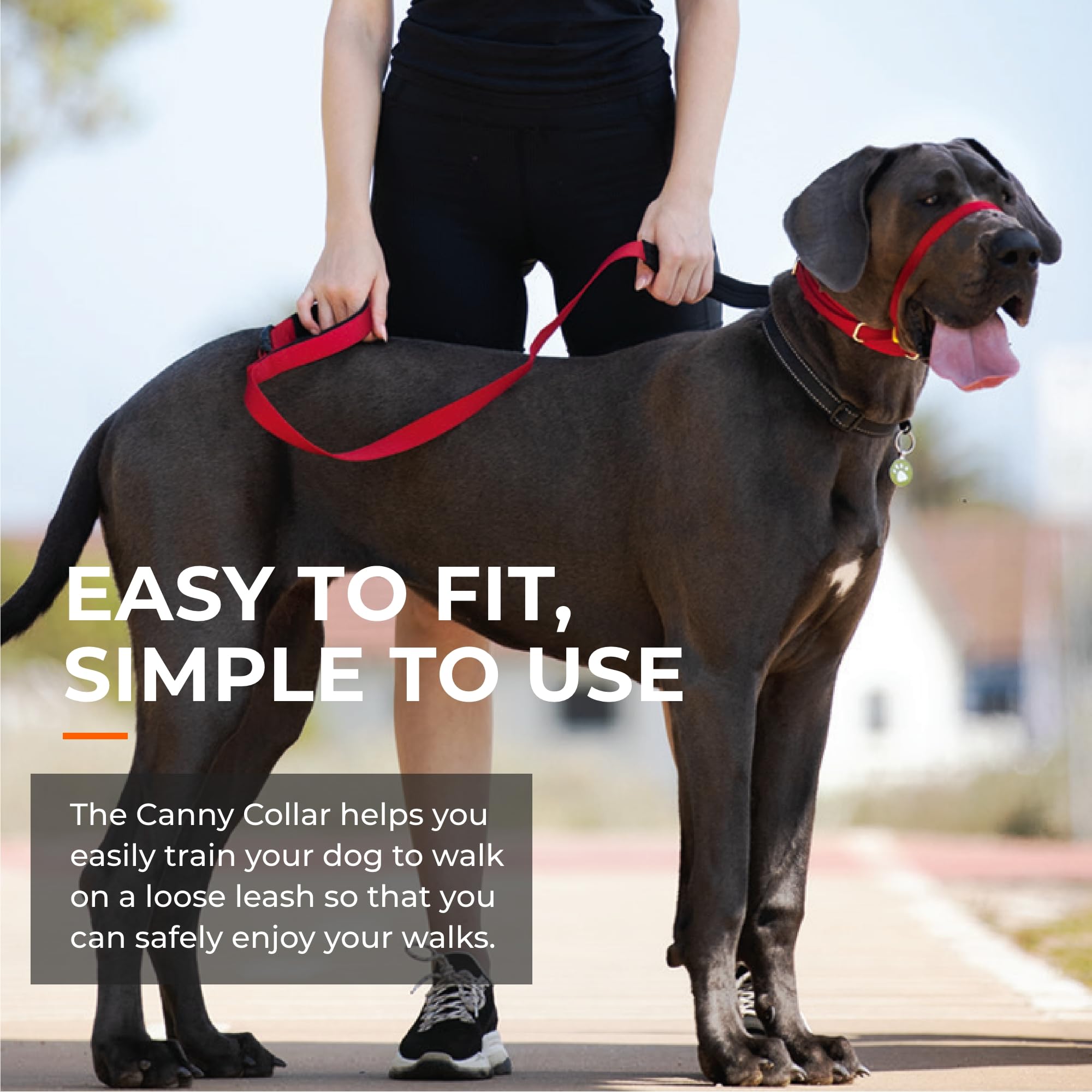 Canny Collar For Dog Training - The Kind, Safe And Comfortable No Pull Dog Collar, Train Your Dog Not To Pull On A Leash - Easy To Use Dog Training Headcollar For Enjoyable Walks - Blue Size 6