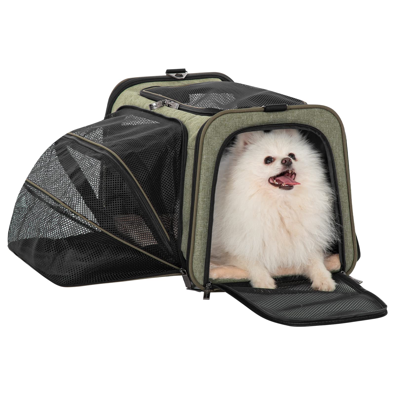 Petsfit Expandable Cat Carrier Dog Carrier, Soft-Sided Collapsible Portable Pet Carrier, 19X12X12, Green