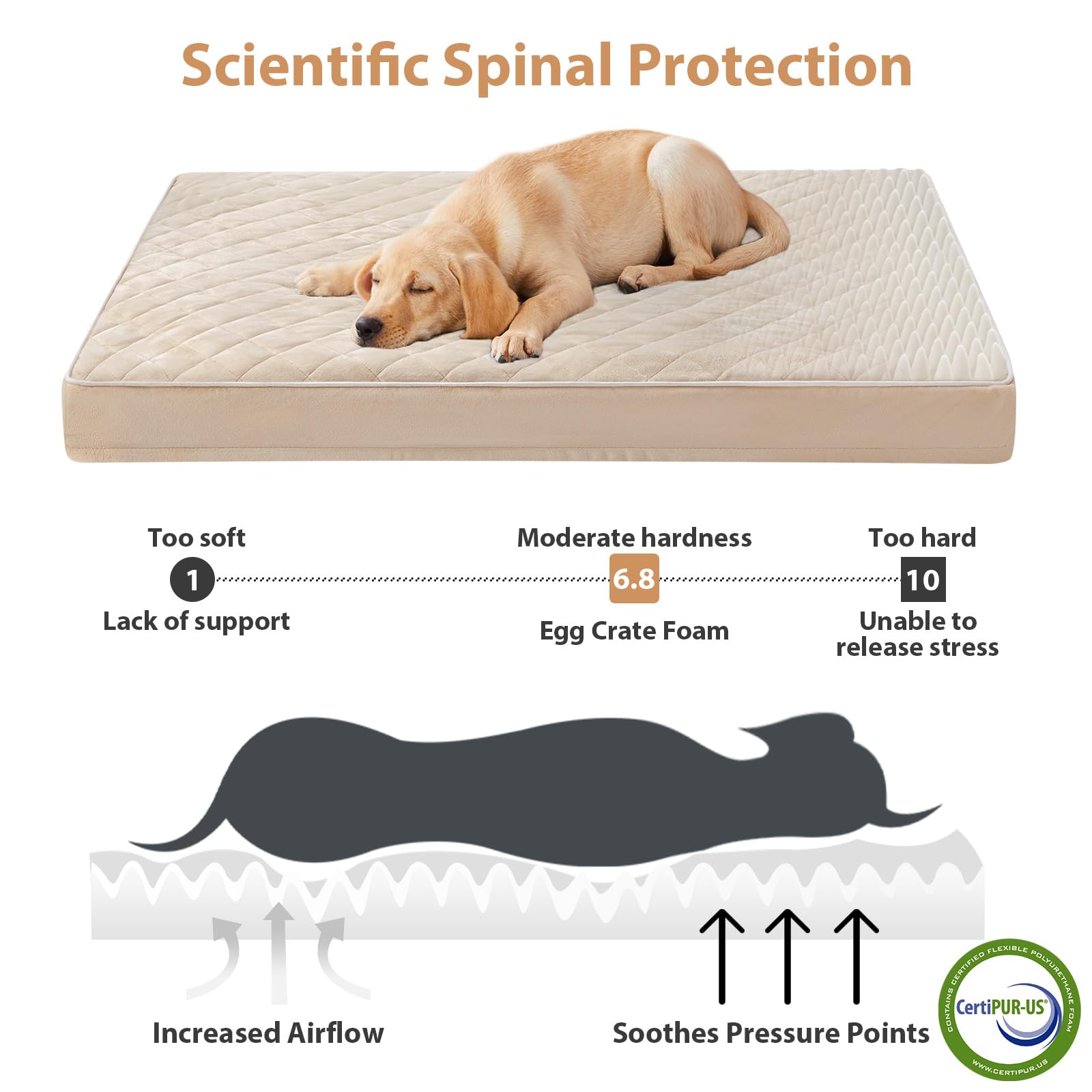 WNPETHOME Orthopedic Giant Dog Beds Large Sized Dog, Waterproof Extra Large Dogs Bed with Removable Washable Cover, Multi-Needle