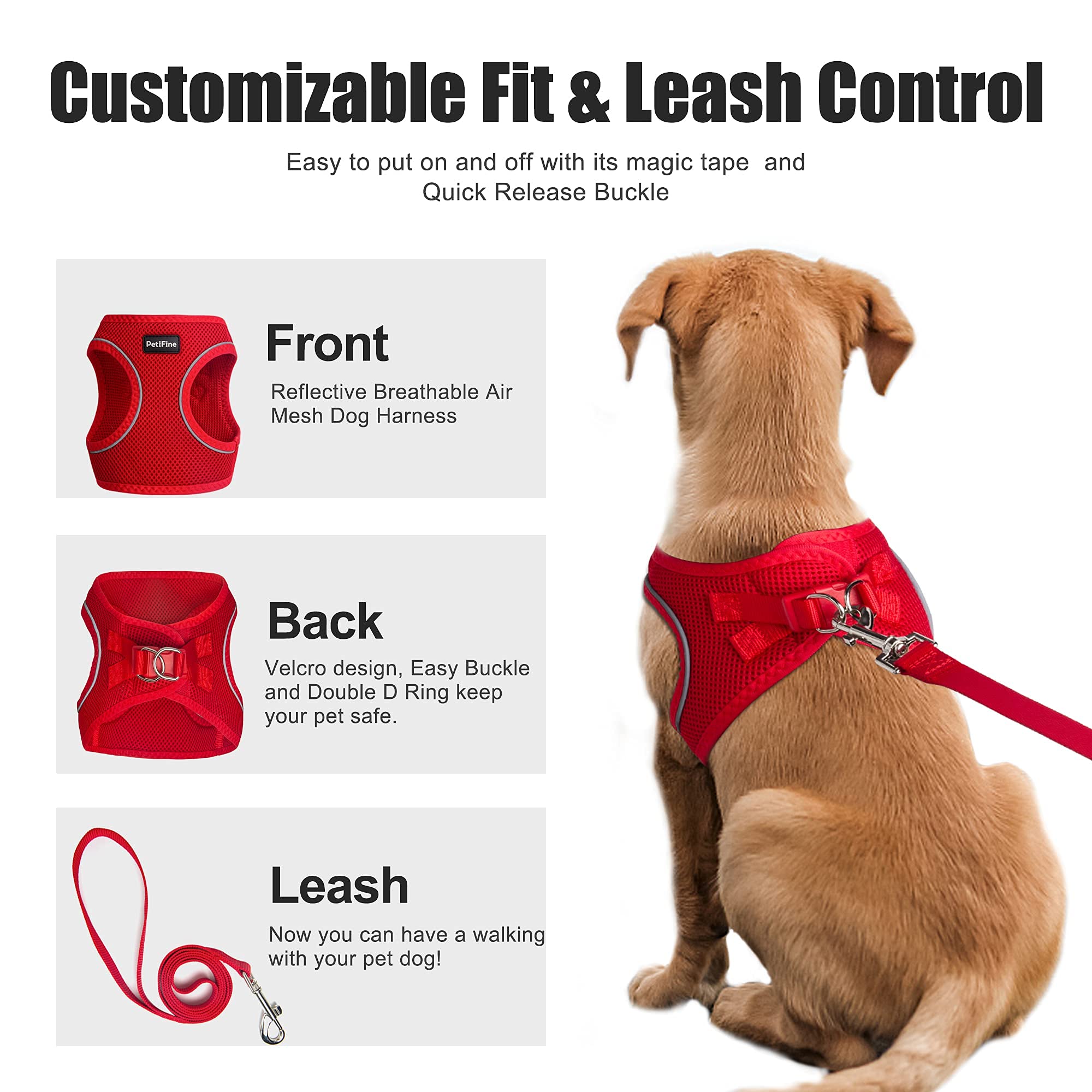 Petifine Extra Small Step In Dog Harness And Leash Set, Cat Harness And Leash Escape Proof, All Weather Mesh Reflective, Step-In Air Vest Harnesses For Puppy(Xxxs, Red)