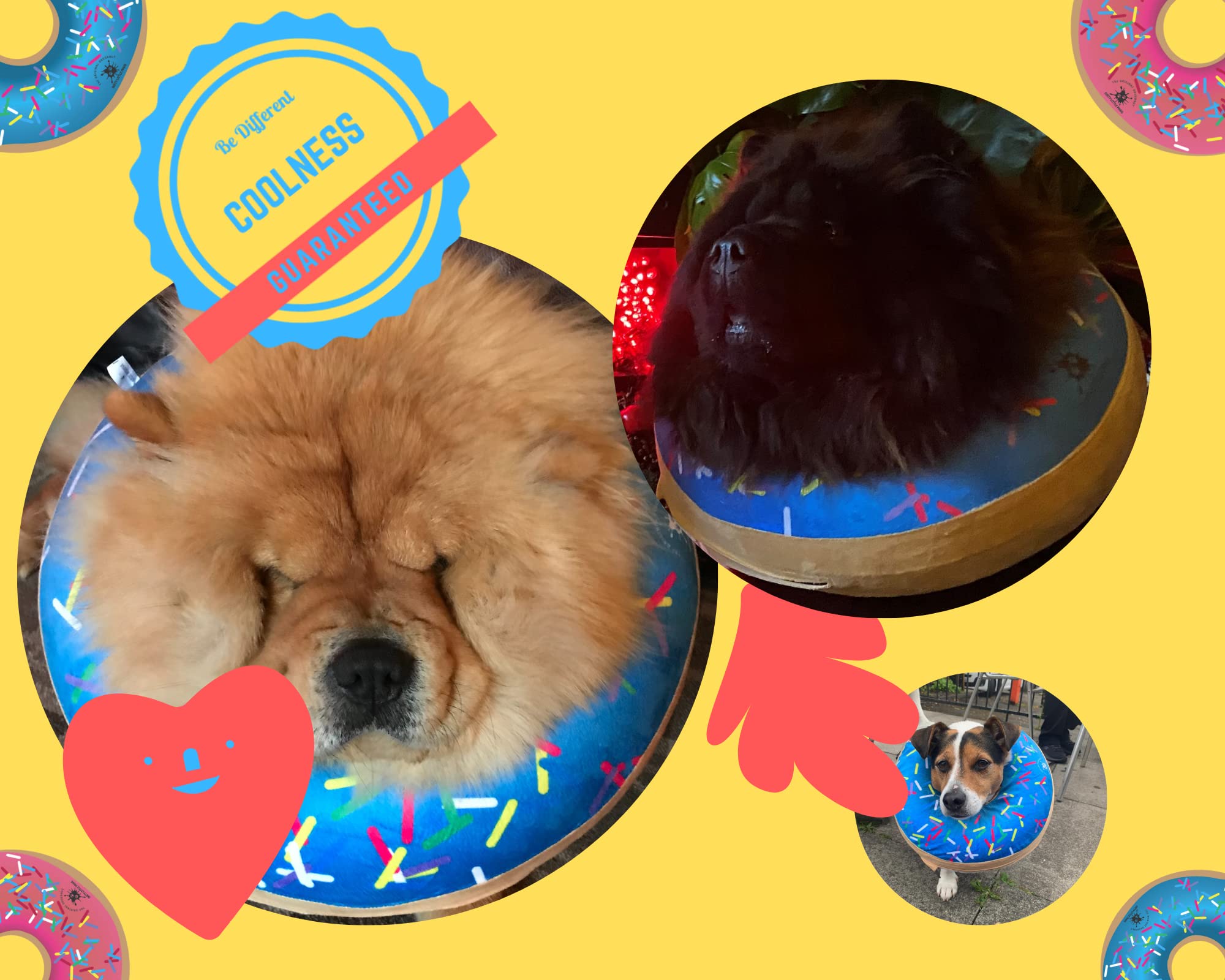 Dog Donut collar  great Alternative to a Traditional Dog cone or a Soft Dog cone collar  Our Inflatable Dog cone is an Excellent