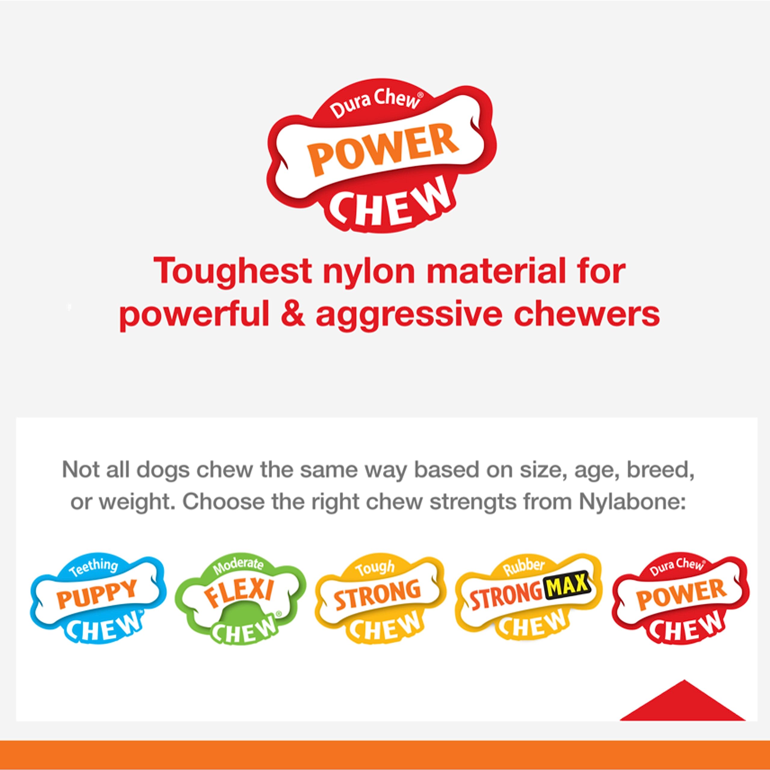 Nylabone Original Bone Power Chew Toy For Dogs, Durable Dog Toys For Aggressive Chewers, Flavor Frenzy Funnel Cake & Shish Kabob Flavor, Large - Up To 50 Lbs, 2 Pack