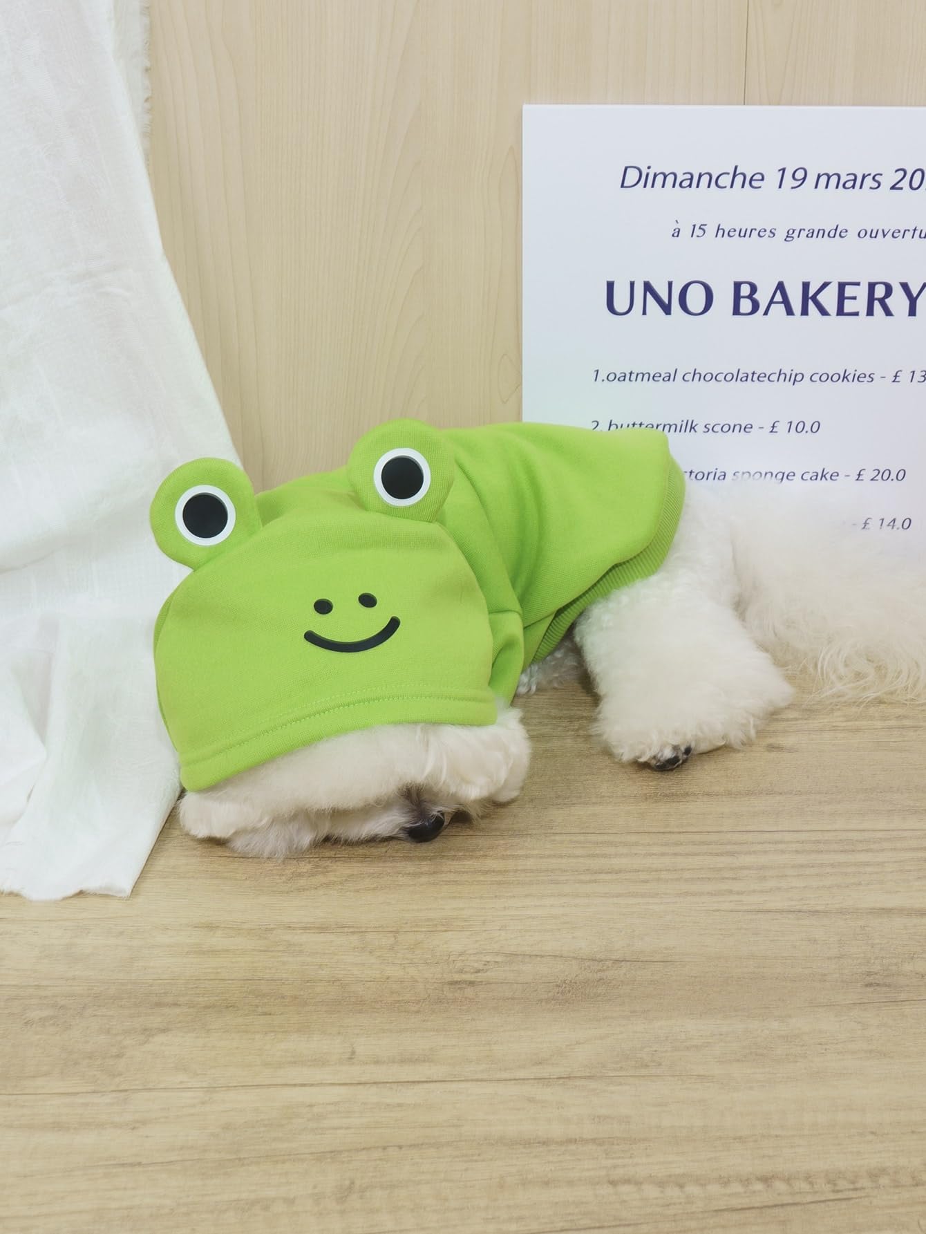 Qwinee Frog Dog Hoodie Dog Warm Jacket Coat Puppy Sweatshirt Christmas Halloween Dog Costume Cosplay Winter Dog Clothes Pet Apparel For Small Medium Dogs Cats Kitten Green Xl