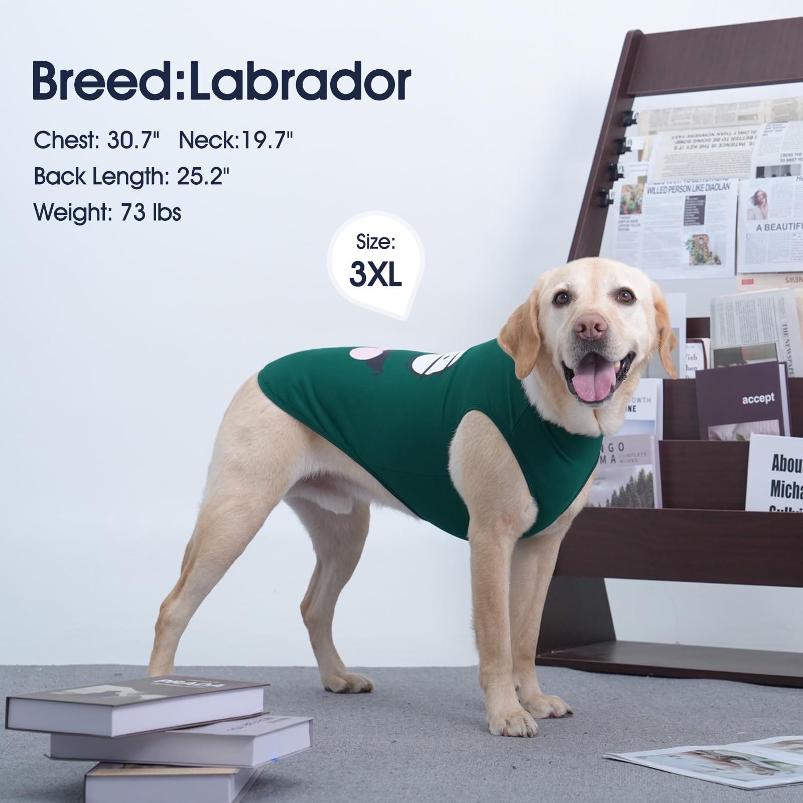 Iecoii 2 Pack Pet Tank Top Tee Sleeveless| 3X-Large |Summer Dog Clothes Apparel,Pet Funny Costume Doggy T-Shirts Clothing For La