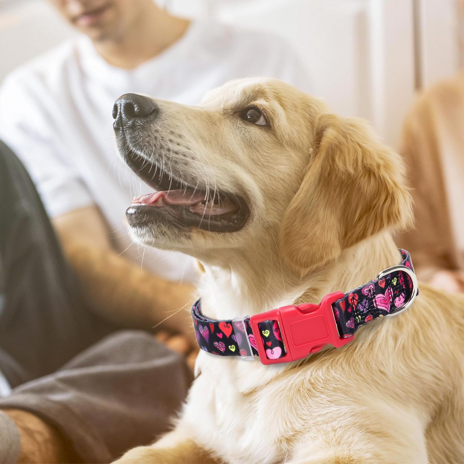 Dog Collar For Large Dogs With Cute Heart Patterns For Girl & Boy Dogs, Adjustable Soft Pet Collar With Safety Buckle For Small