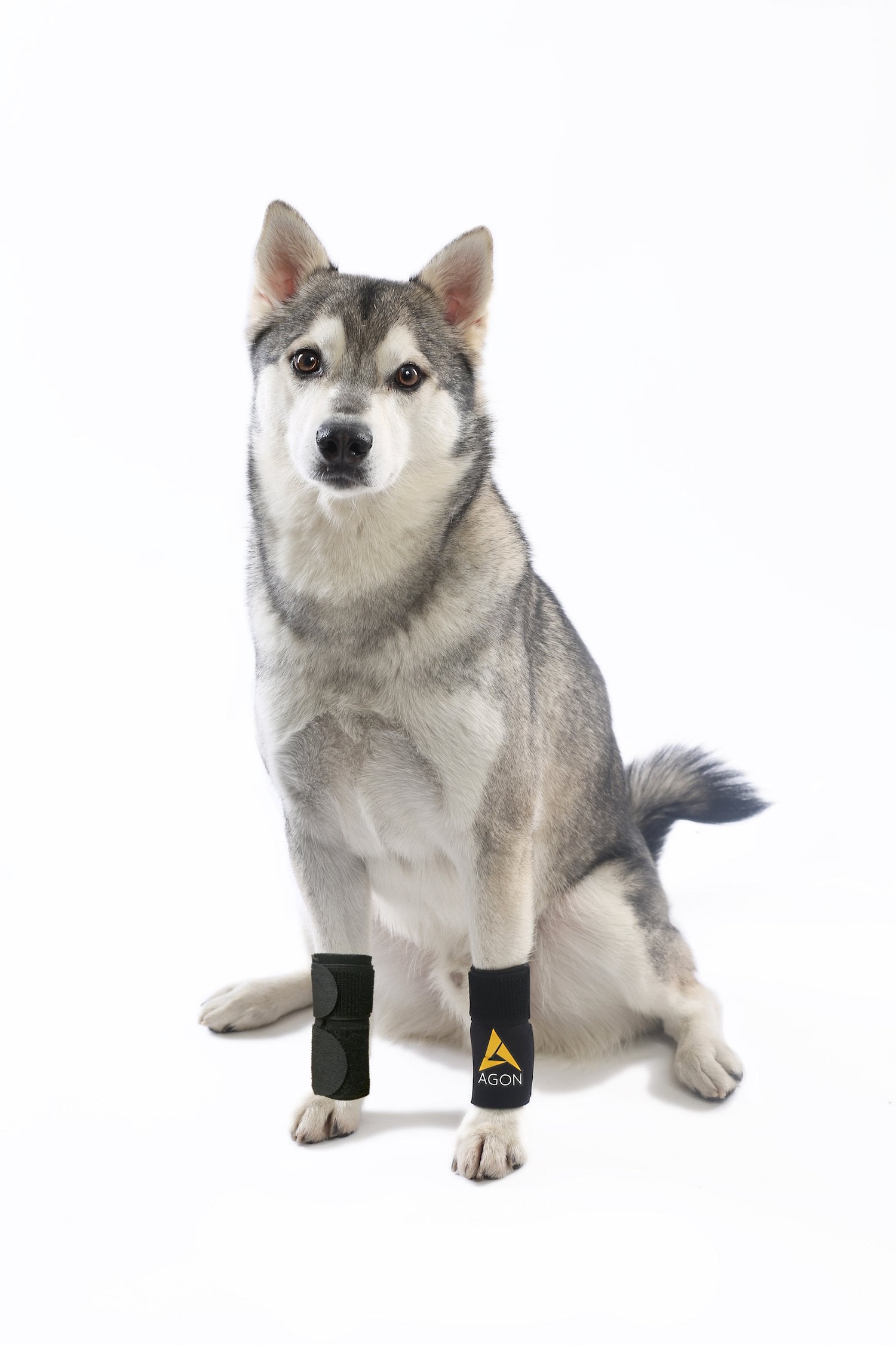 AGON Pair Dog Canine Front Leg Brace Paw Compression Wraps with Protects Wounds Brace Heals and Prevents Injuries and Sprains He