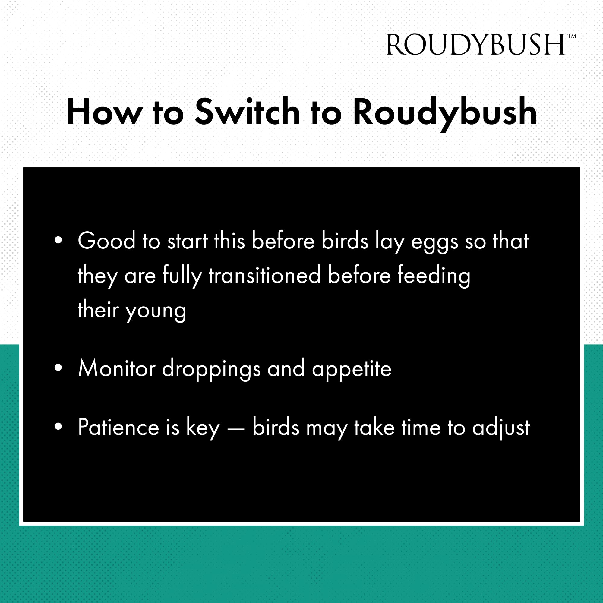 Roudybush High Energy Breeder Food for Breeding & Weaning Birds - Scientifically Formulated Bird Feed - Bird Food Pellets w/ Cor