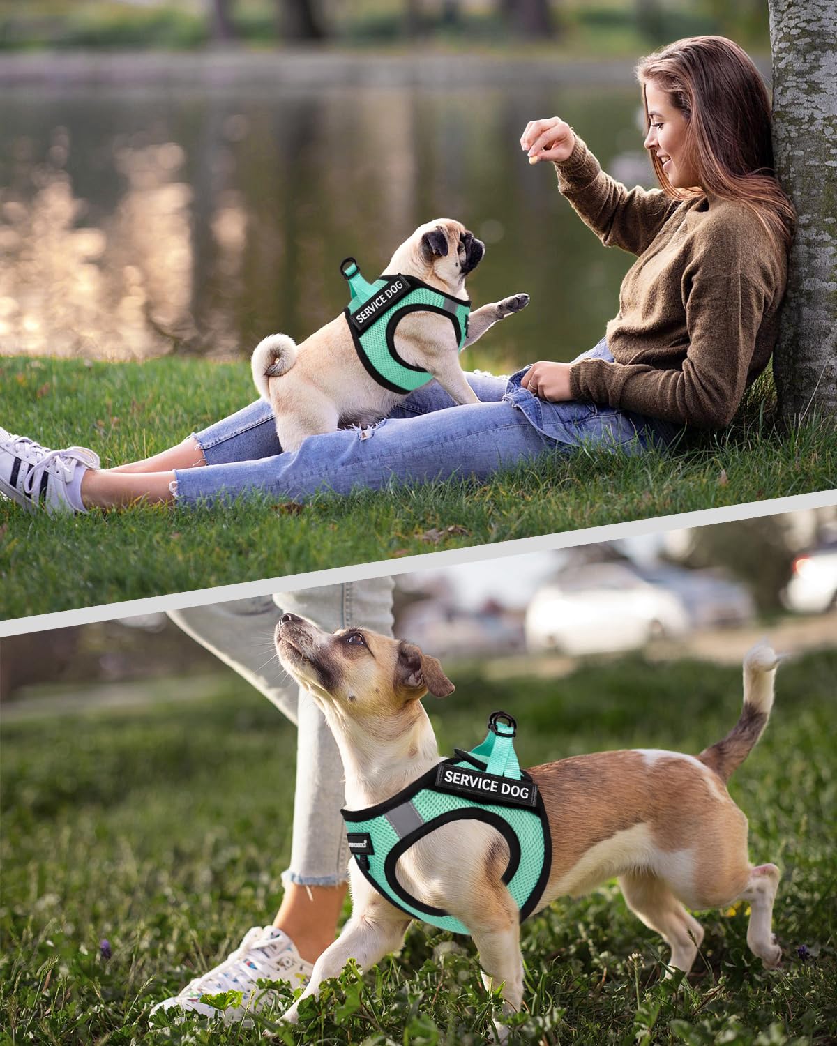 Fayogoo Dog Harness For Small Dogs - Lightweight Service Dog In Training Harness With 6Pcs Removable Patches - Puppy Harness For