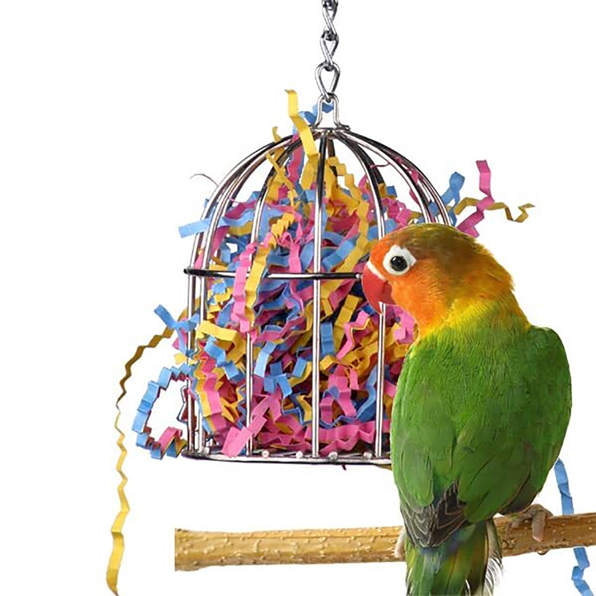 Super Bird Creations SB476 Mini Stainless Steel Foraging Treat Cage -Ideal Bird Training Toy Enriched Playtime - Canary, Finch, 