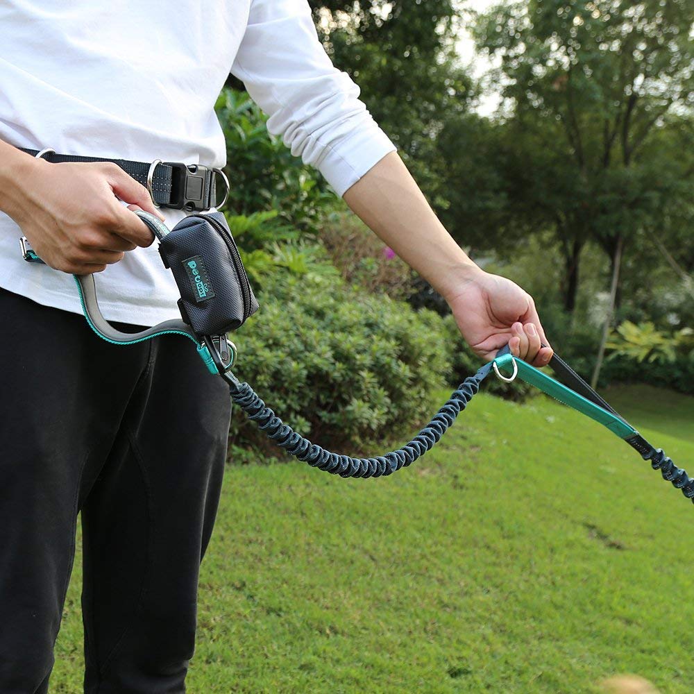 Petopt Dog Poop Bag Holder Leash Attachment,Heavy Duty Waterproof, Fits Any Dogs Running,Walking,Hiking Accessory (Dark Gray)