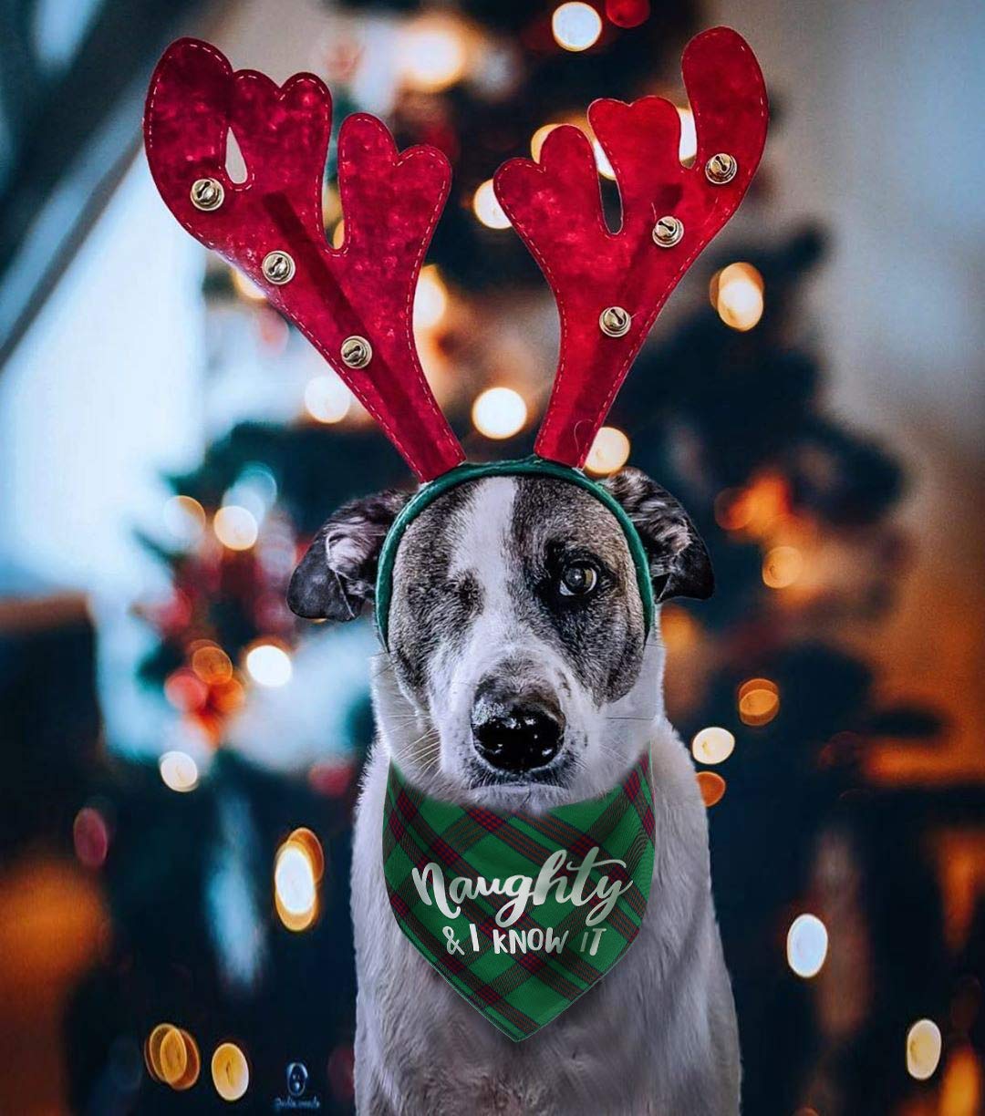 Dog Christmas Bandanas Plaid Reversible Triangle Bibs Scarf Accessories For Dogs Cats