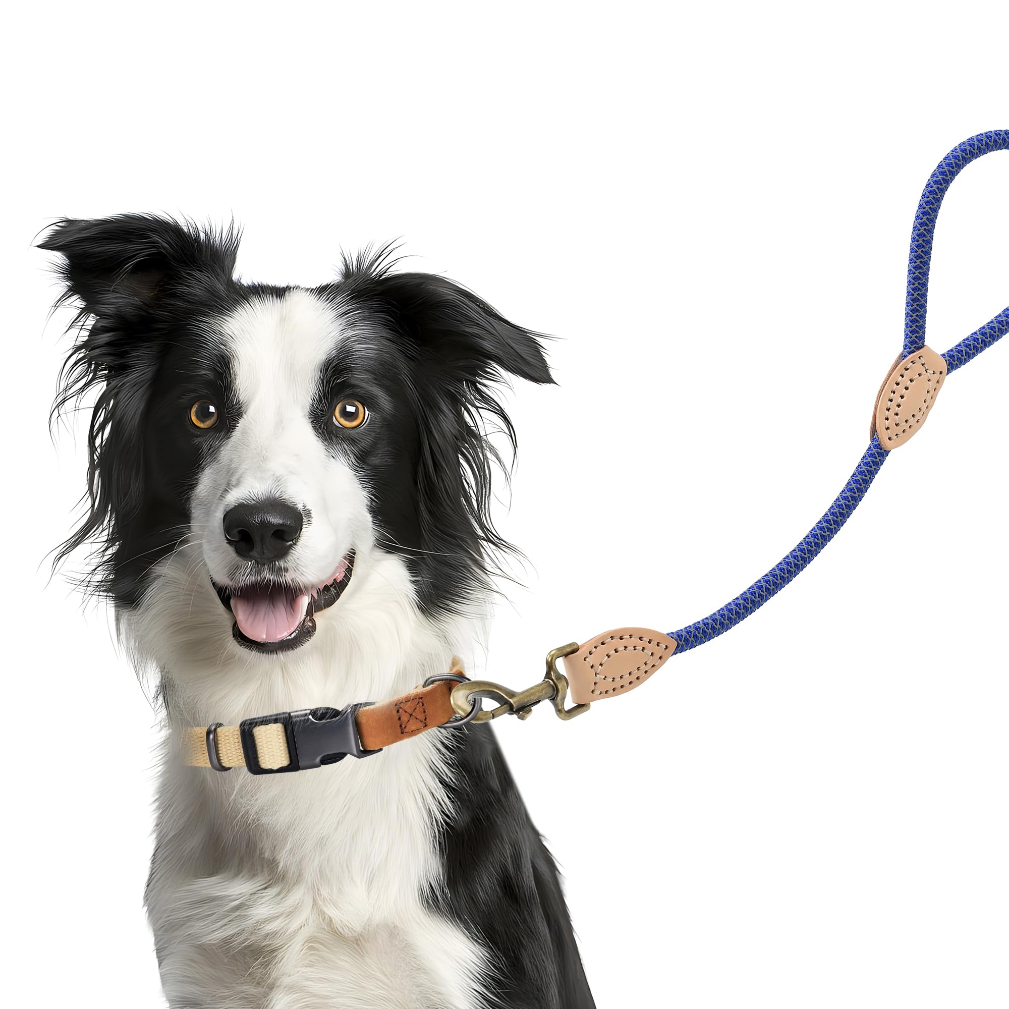 Mile High Life Short Dog Leash, Short Leash For Large Dogs, Reflective Dog Lead With W Leather Tip, Heavy Duty Leash For Large A