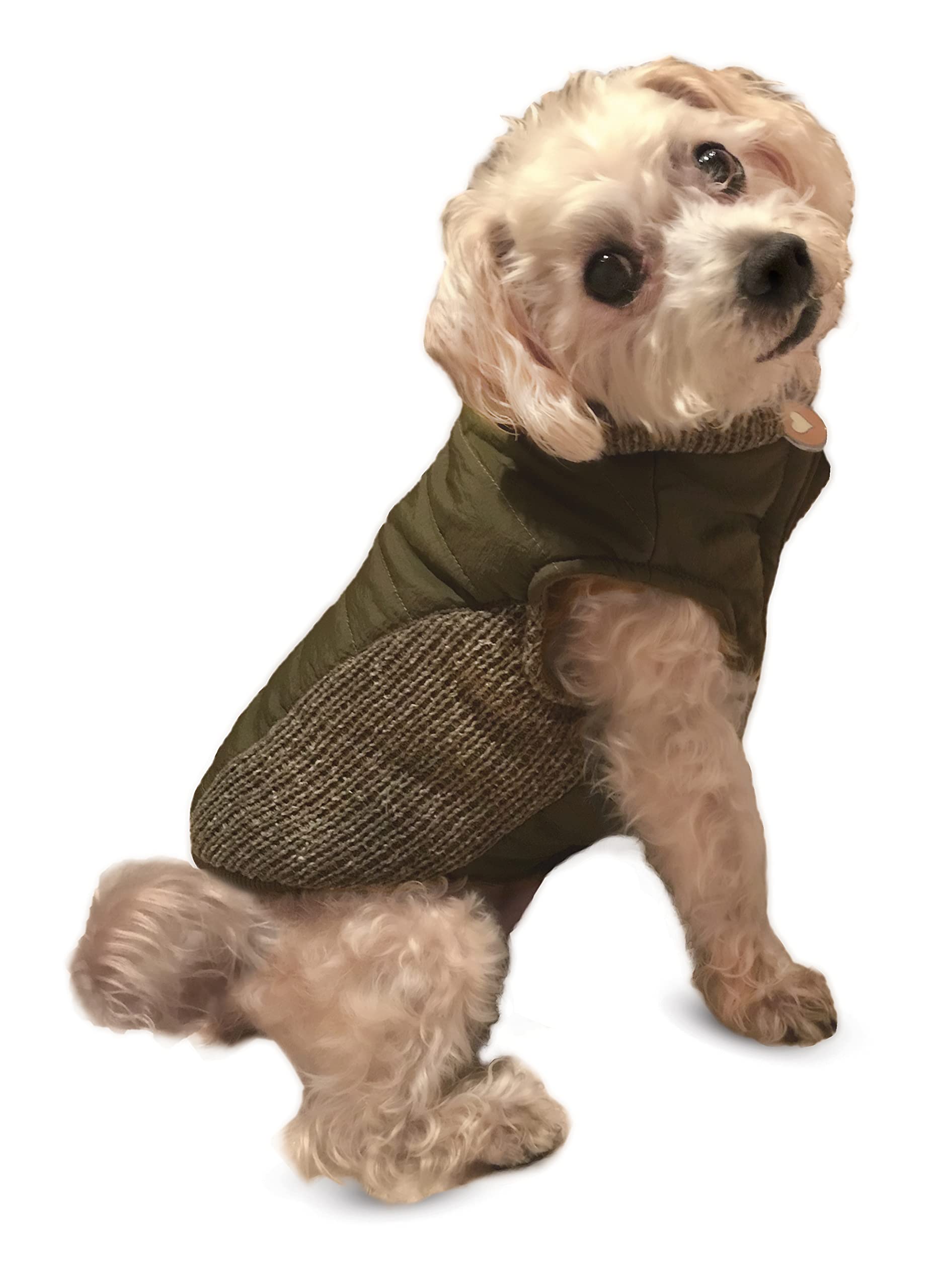 Fashion Pet /Sweater Trim Puffy Coat/Dog Coat/Olive/Large