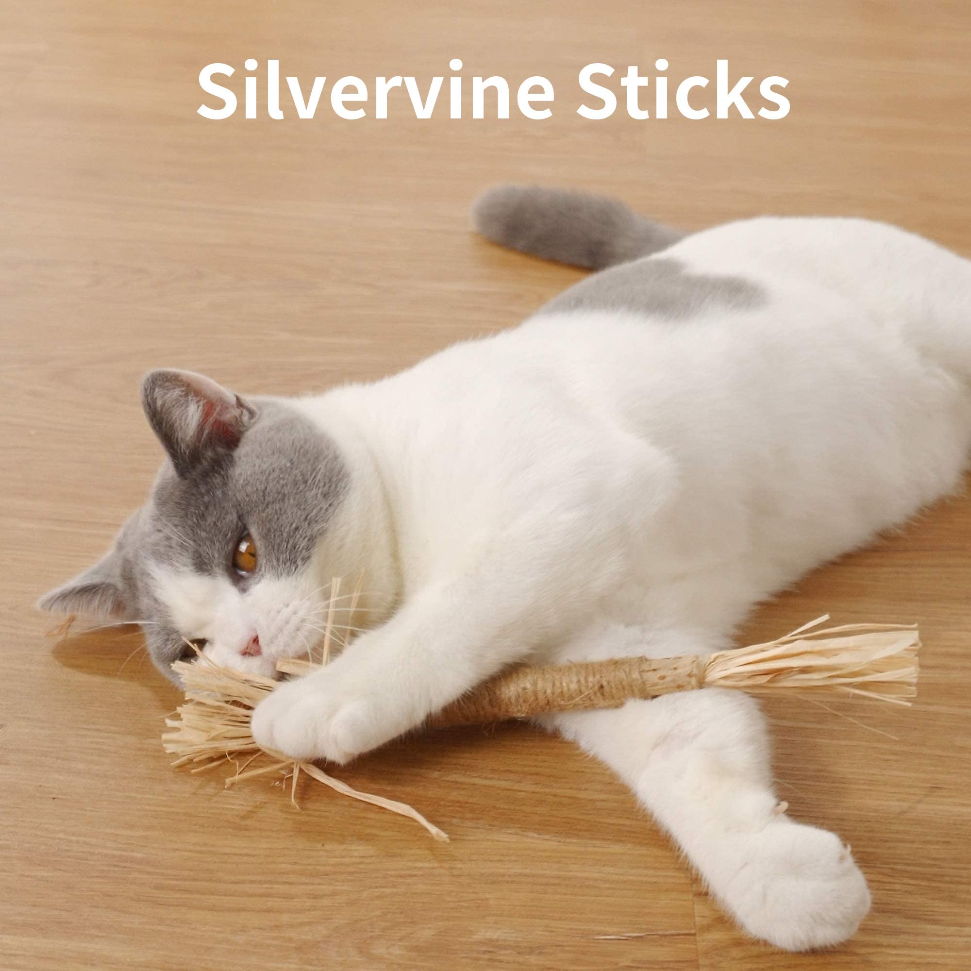 PAZS GIFT Catnip Toy Cat Toys Catnip Toy cat chew Toy cat Kicking silvervine Stick Teeth Cleaning Cute Kitten Teething Indoor I