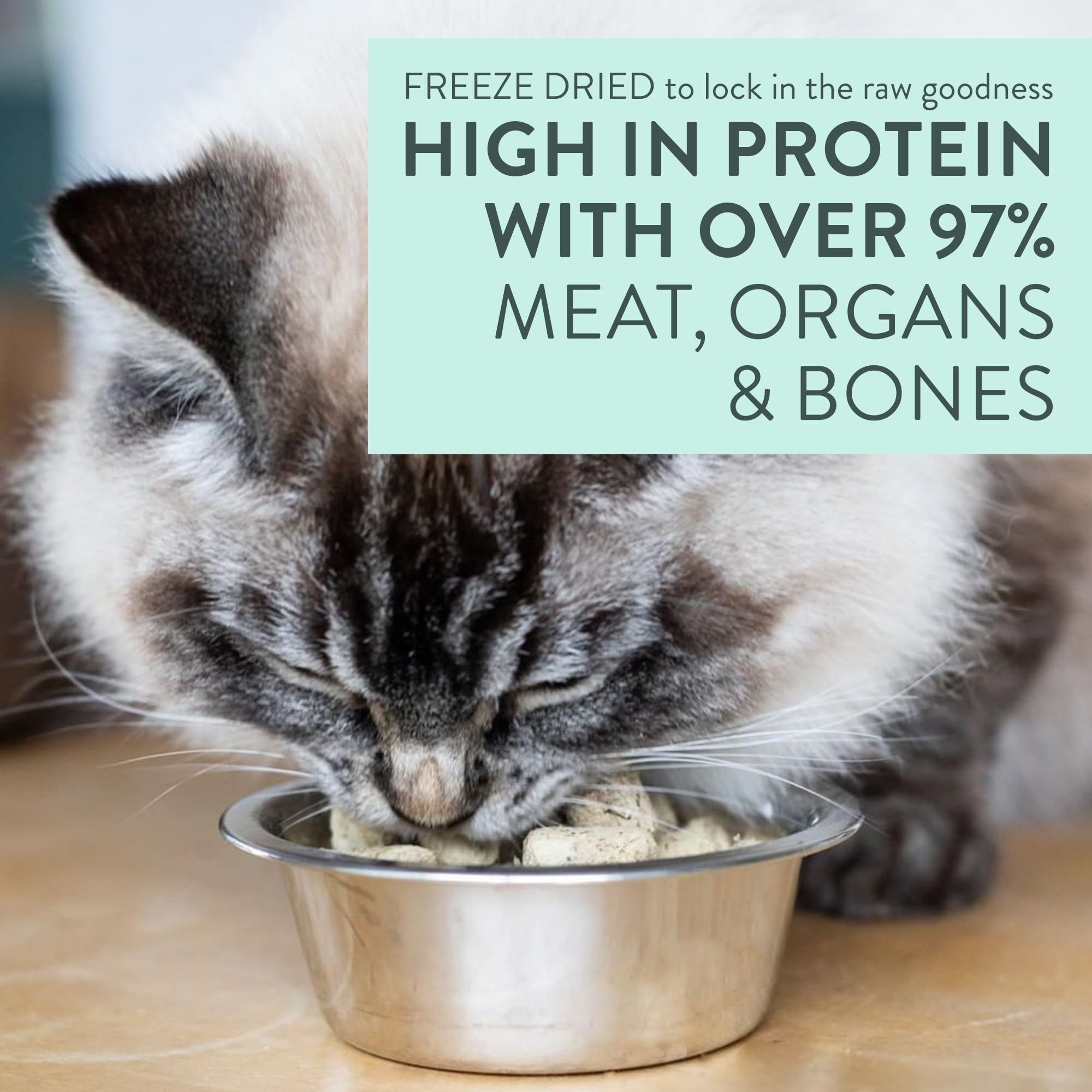 The New Zealand Natural Pet Food Co. Meow Lamb & Hoki Freeze Dried Raw Cat Food, Mixer, or Topper, or Treat - High Protein, Natu