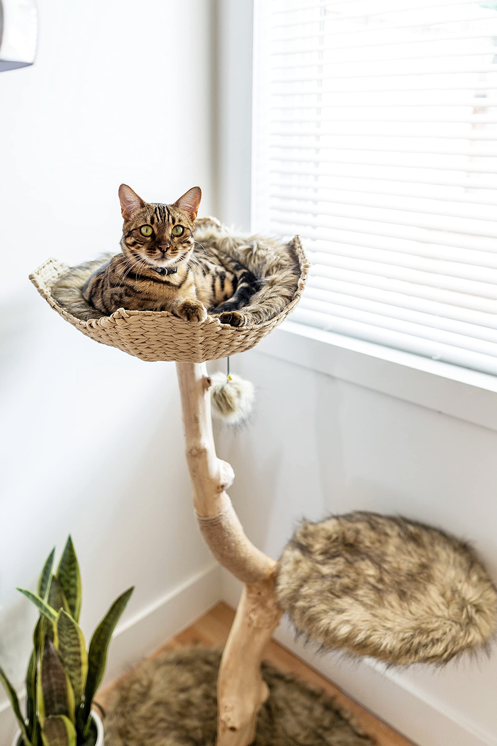 Wooden Cat Tree Tower, Modern Single Branch Cat Condo, Wood Cat Tree, Cat Climbing, Furniture For Cat, Cat Lover Gift, Cat Furni