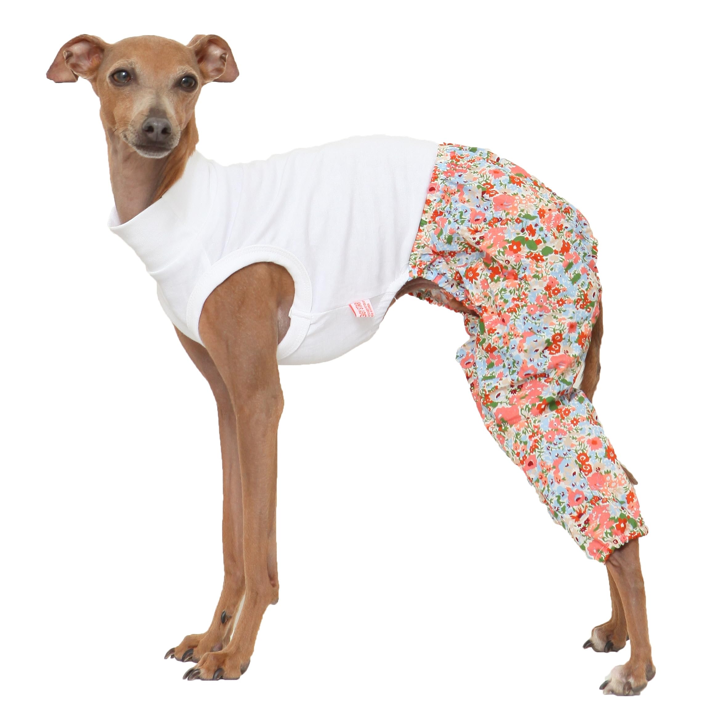 D Doggy Star Italian Greyhound Clothes Mombbe Onesie Outfit Whippet For Dog Coat (3Xl,Mombbe Orange)