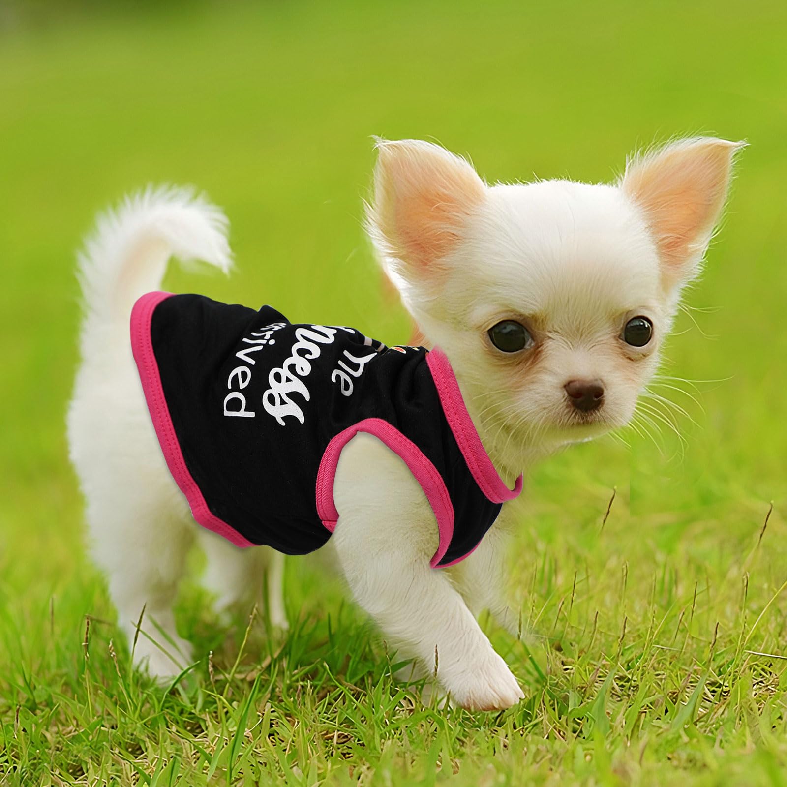 4 Pieces Dog Shirts Dog Clothes For Small Dogs Girl Boy Summer Puppy Clothes For Chihuahua Yorkie Soft Cute Pattern Pet Cat Clot