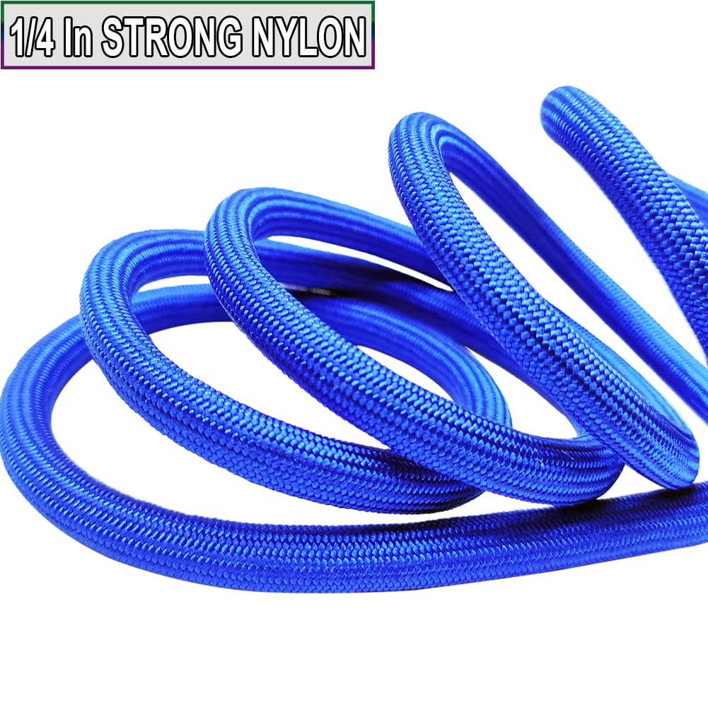 Sepxufore Small Dog Leash, 1/4'' By 6/8/10 Ft Lightweight Strong Nylon Rope Leash, Bright Classic Leasd For Small Pets/Puppy/Cat